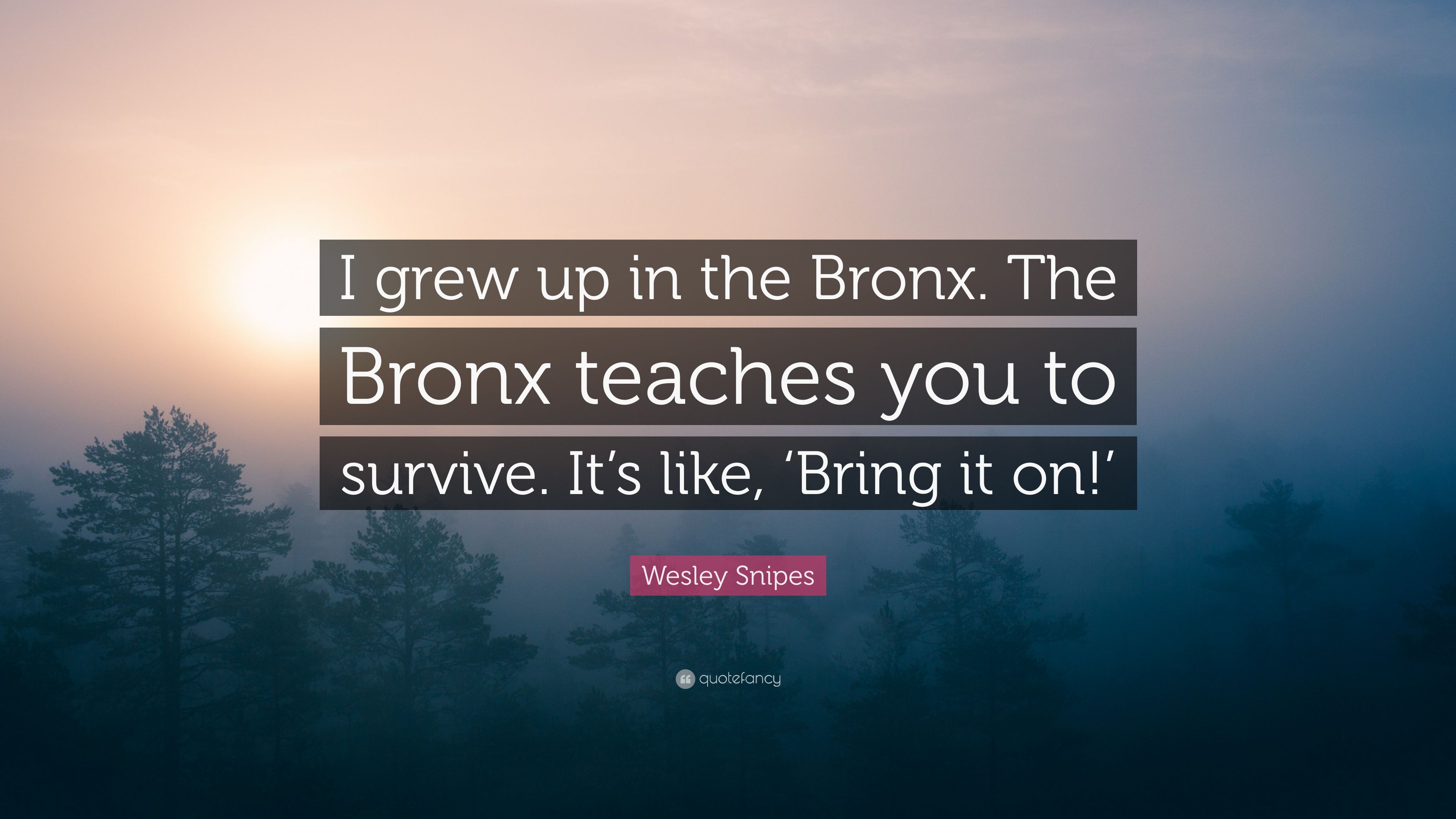 Wesley Snipes Quote: “I grew up in the Bronx. The Bronx teaches