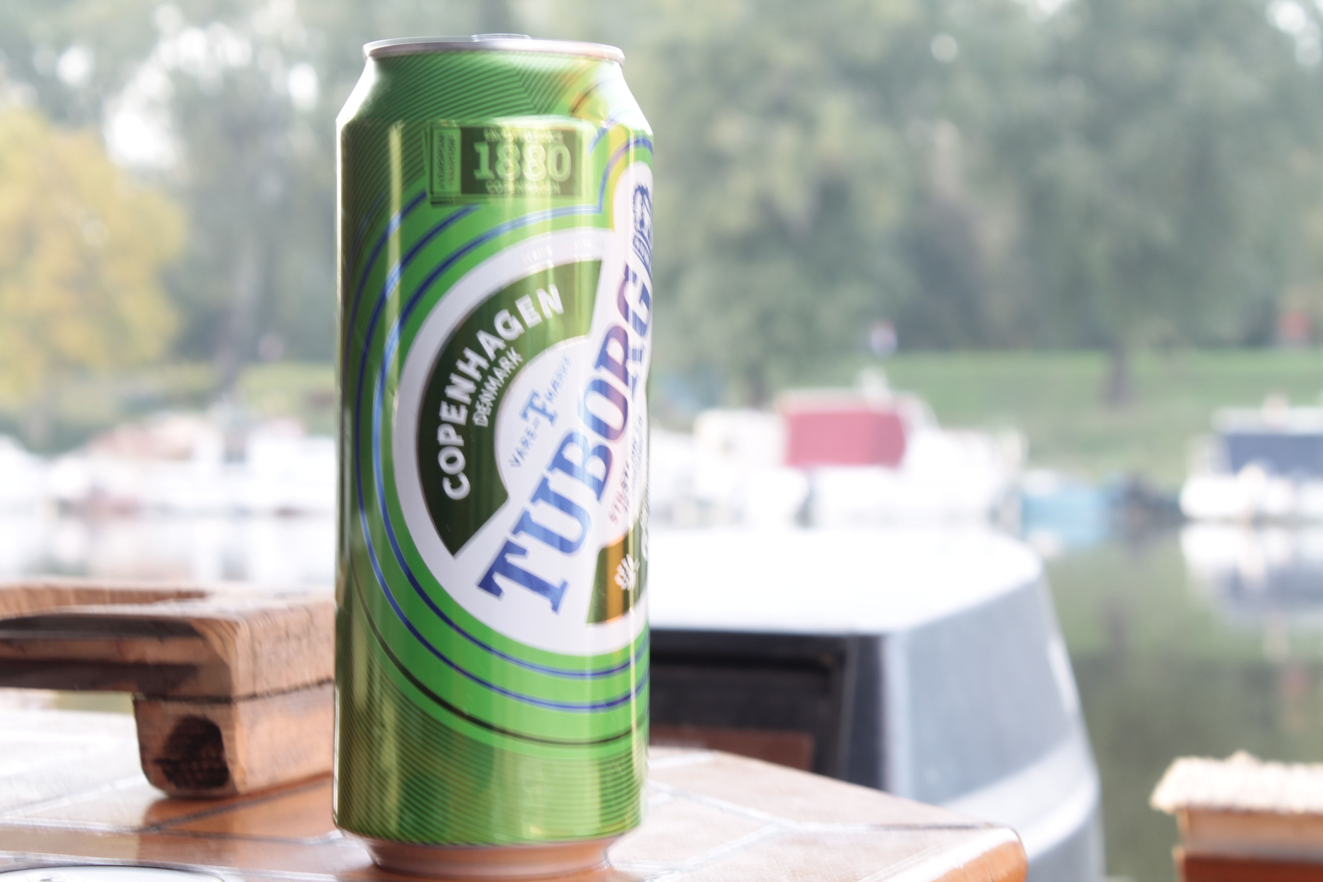 Free of beer bottle, beer can, tuborg beer