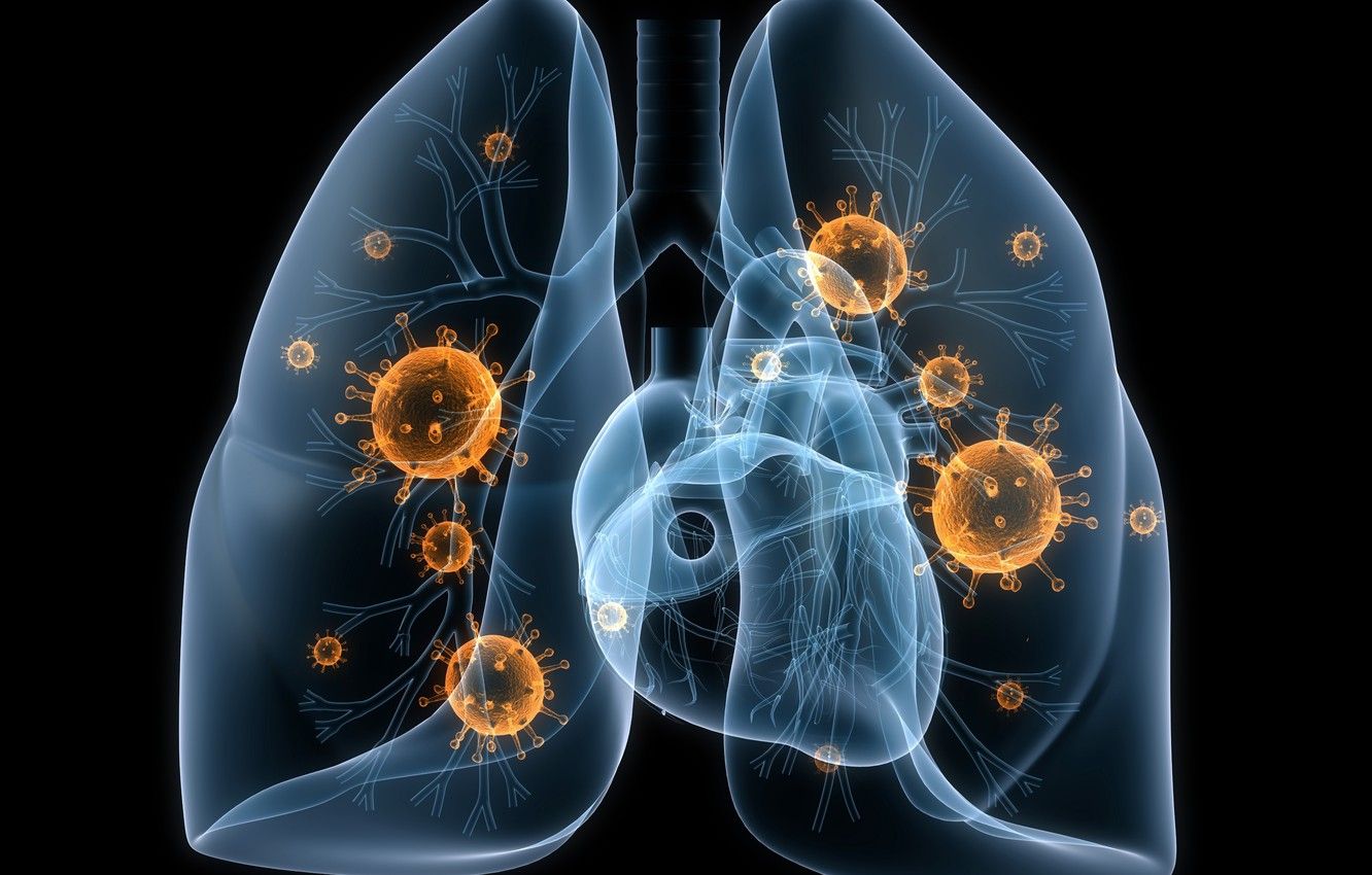 Wallpaper disease, lungs, viruses, bacteria image for desktop, section рендеринг