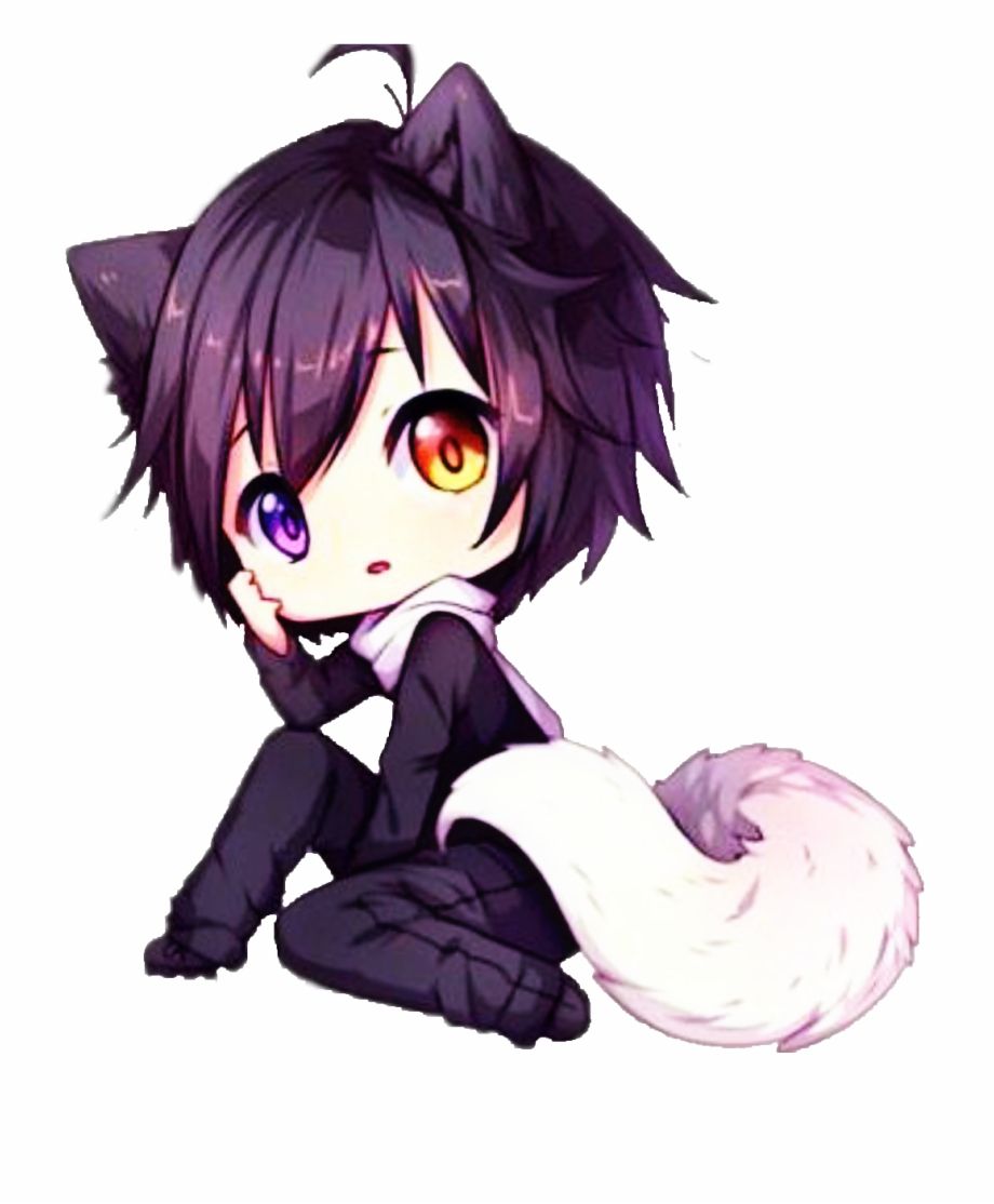  Wolf  Boy  Hoodie Anime  Wallpapers  Wallpaper  Cave