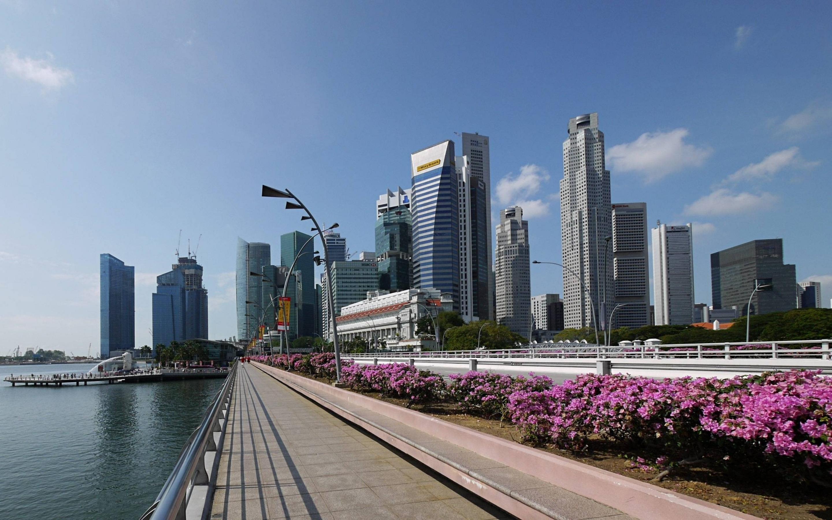 Free 4K Singapore Wallpaper Image For Download