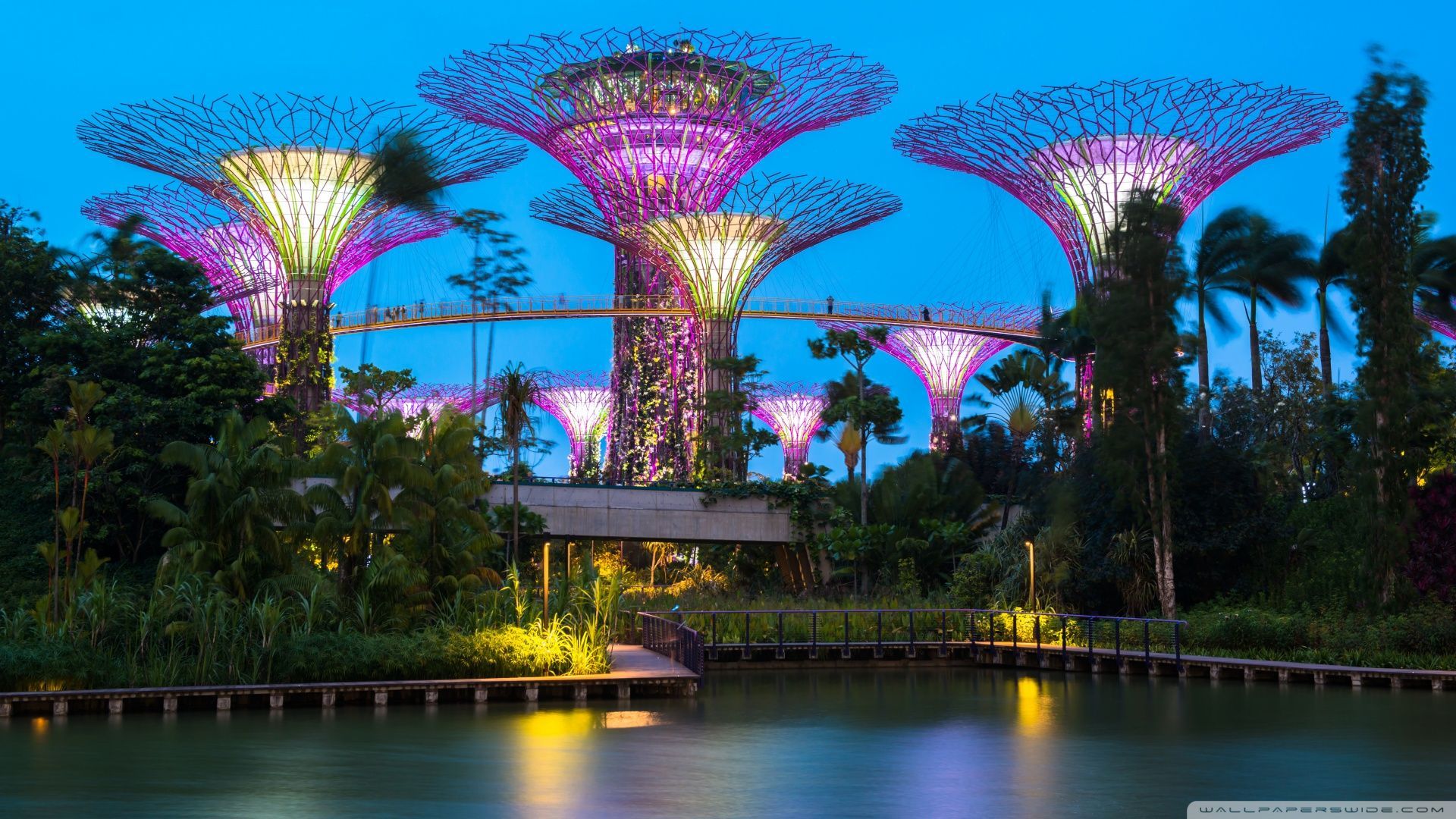 Supertree grove gardens by the bay singapore HD wallpaper