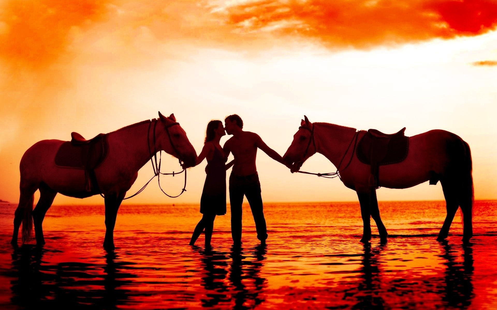 Horse Sunset Sea Light Reflections Wallpapers Wallpaper Cave