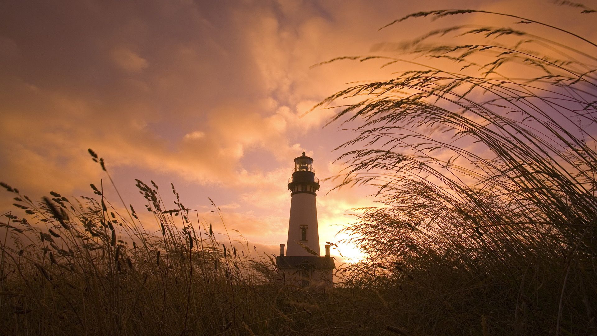 Wallpaper grass, clouds, evening, beacon, yaquina head lighthouse