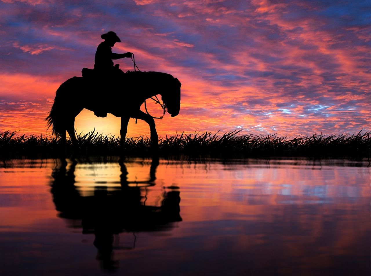 Horse Sunset Sea Light Reflections Wallpapers - Wallpaper Cave