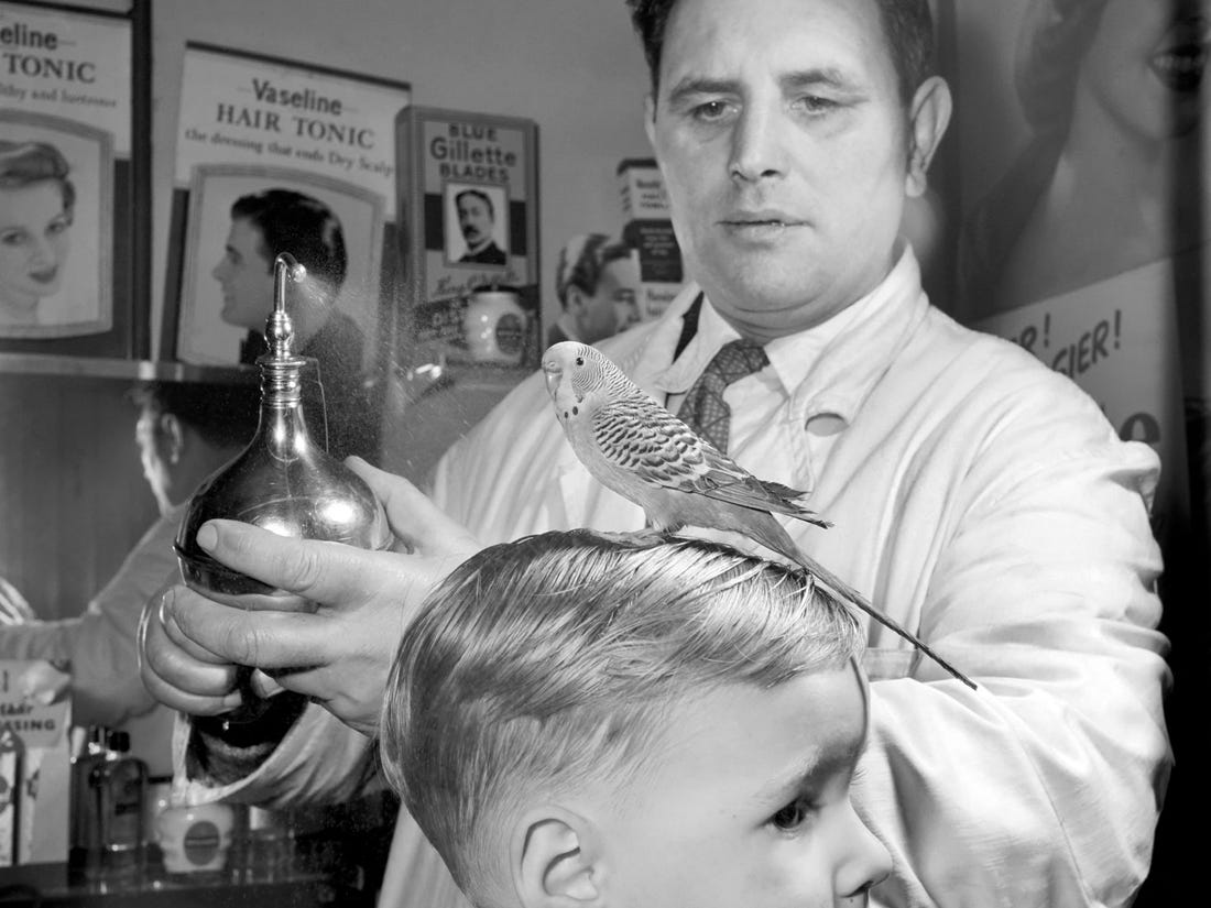 Funny vintage photo that still make us laugh