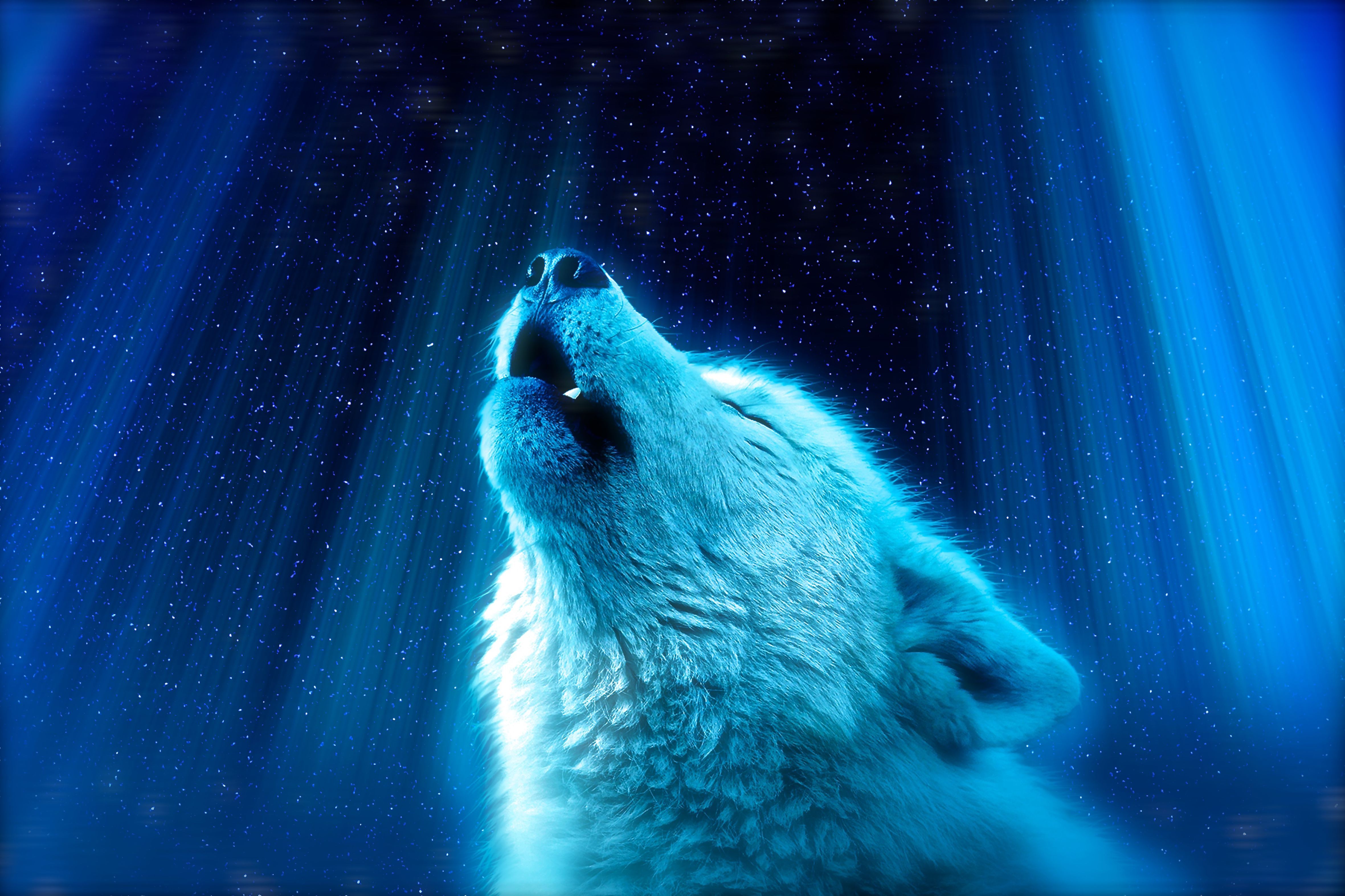 Wallpaper Wolf, Fantasy, Light, Heaven, 4K, Animals / Editor's