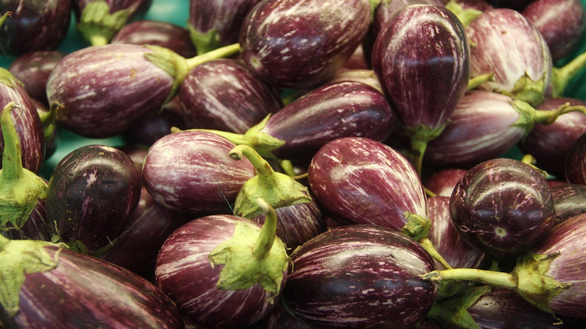 Download Brinjal Eggplant PNG Download Free HQ PNG Image | FreePNGImg