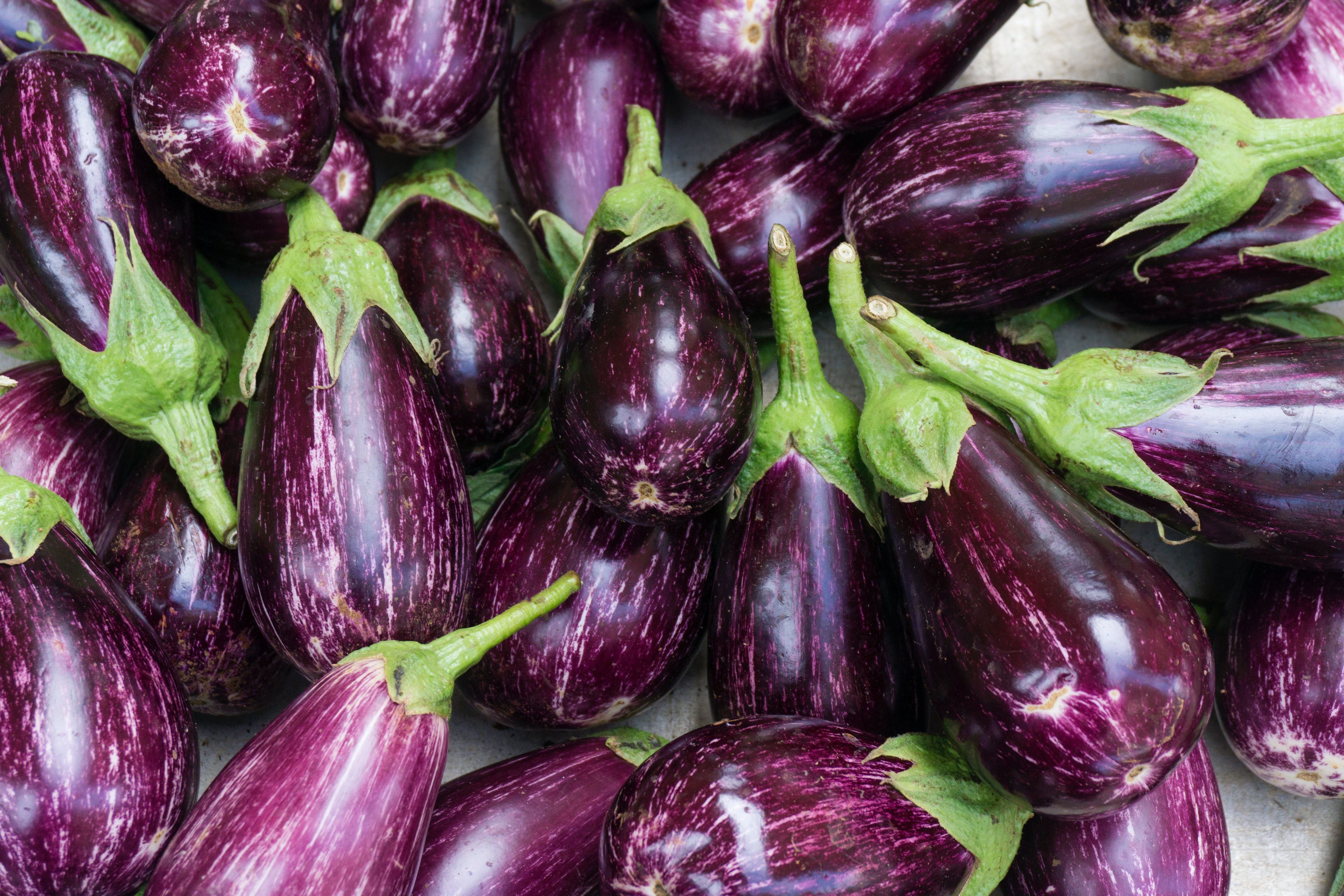 Free of aubergine, background, color