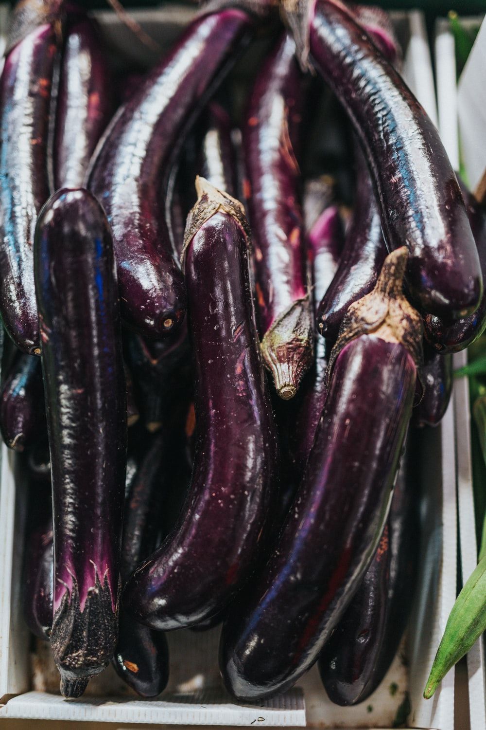 Eggplant Picture [HD]. Download Free Image