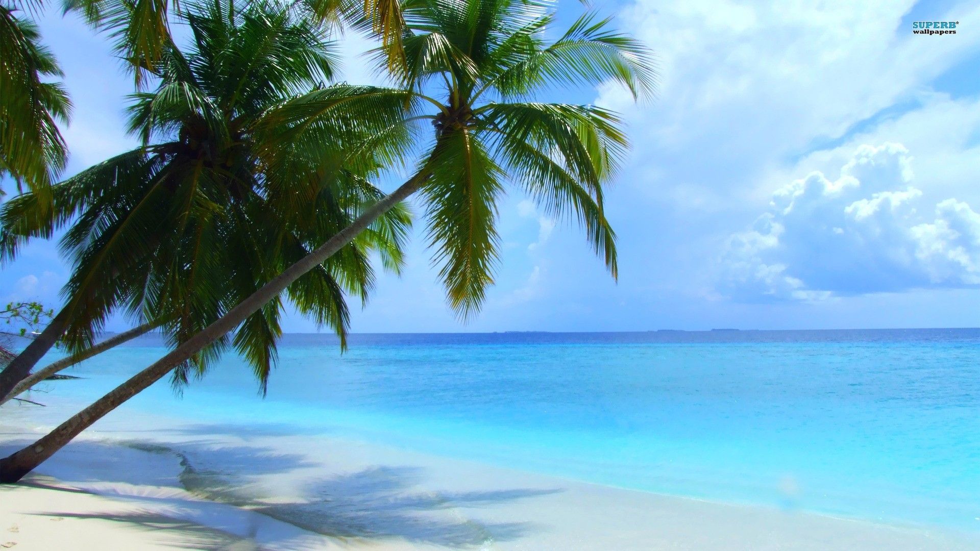image of seasons. Beach Summer (season) Maldives Fresh New HD
