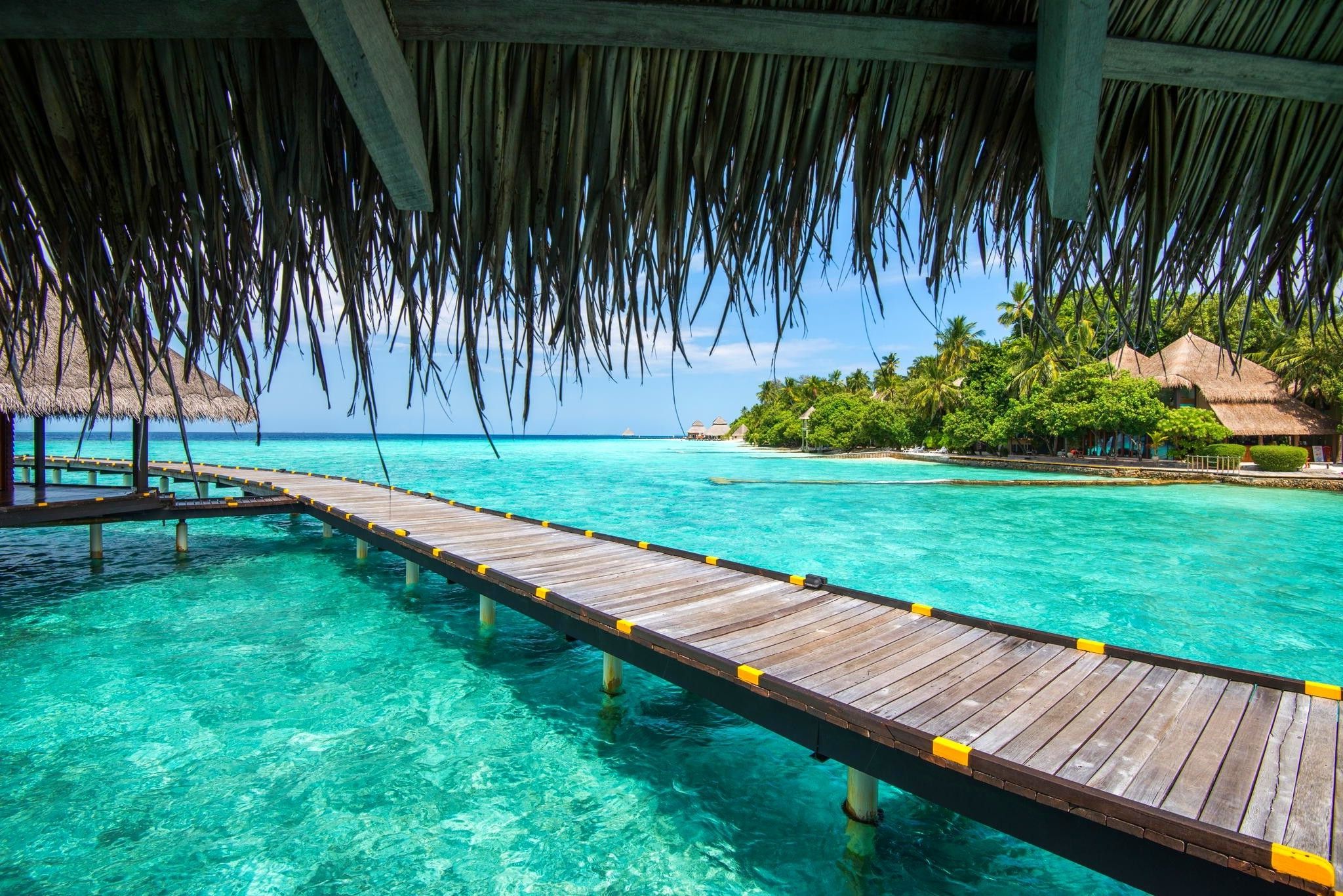Maldives, Resort, Sea, Beach, Tropical, Palm Trees, Summer