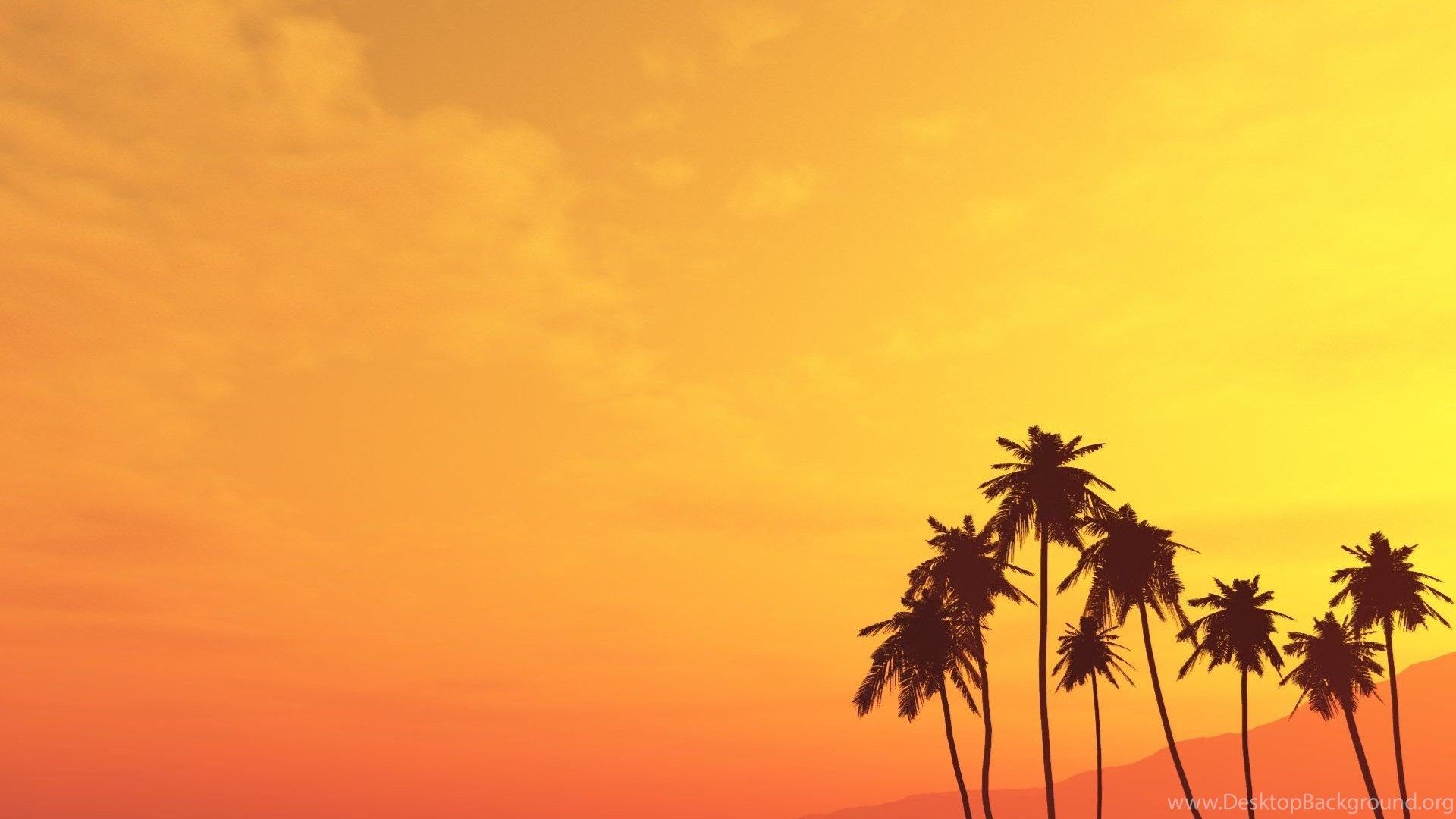 Palm Tree Desktop Wallpaper Desktop Background