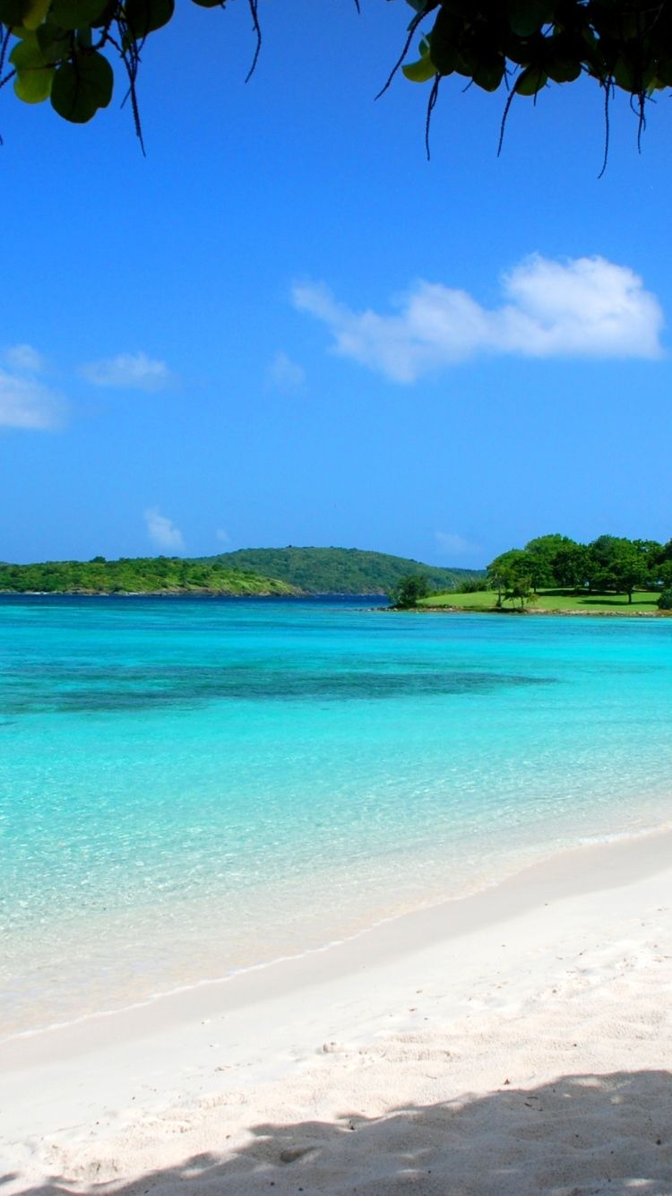 Maldives tropical beach sand summer palm trees Free Download
