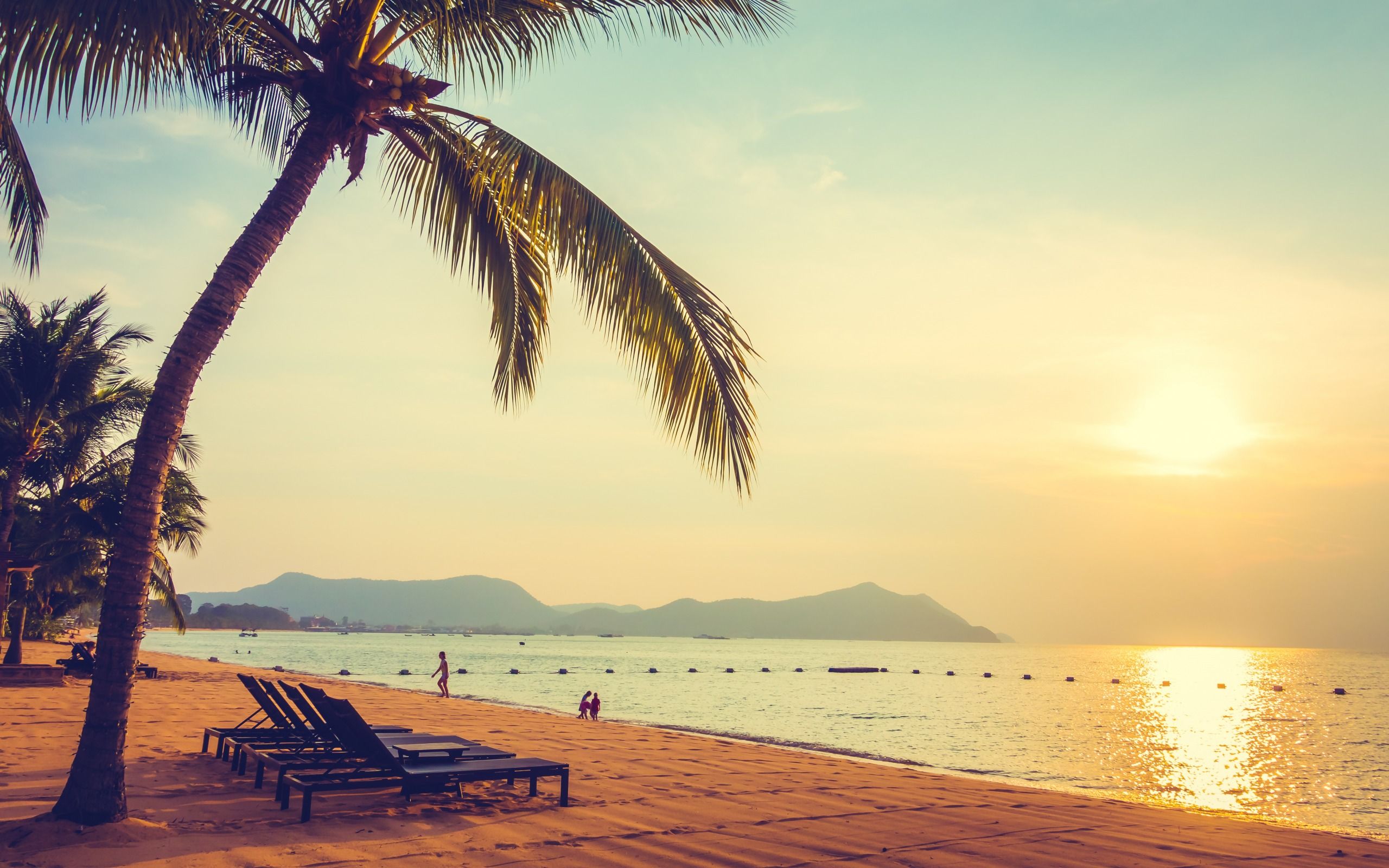 Download wallpaper sunset, tropical island, beach, evening, palms