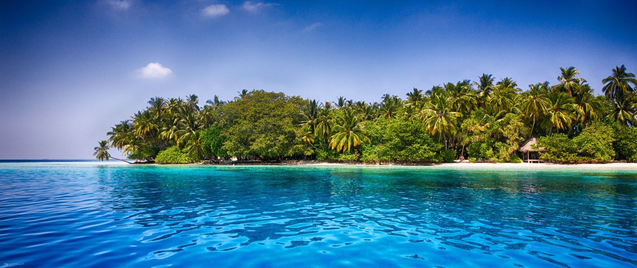 Maldives, Beach, Palm Trees, Tropical, Sea, Sand, Water, Summer