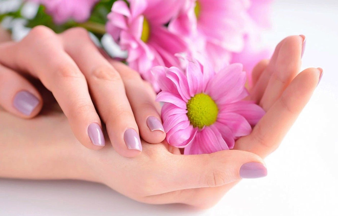 Wallpaper flowers, hands, manicure image for desktop, section