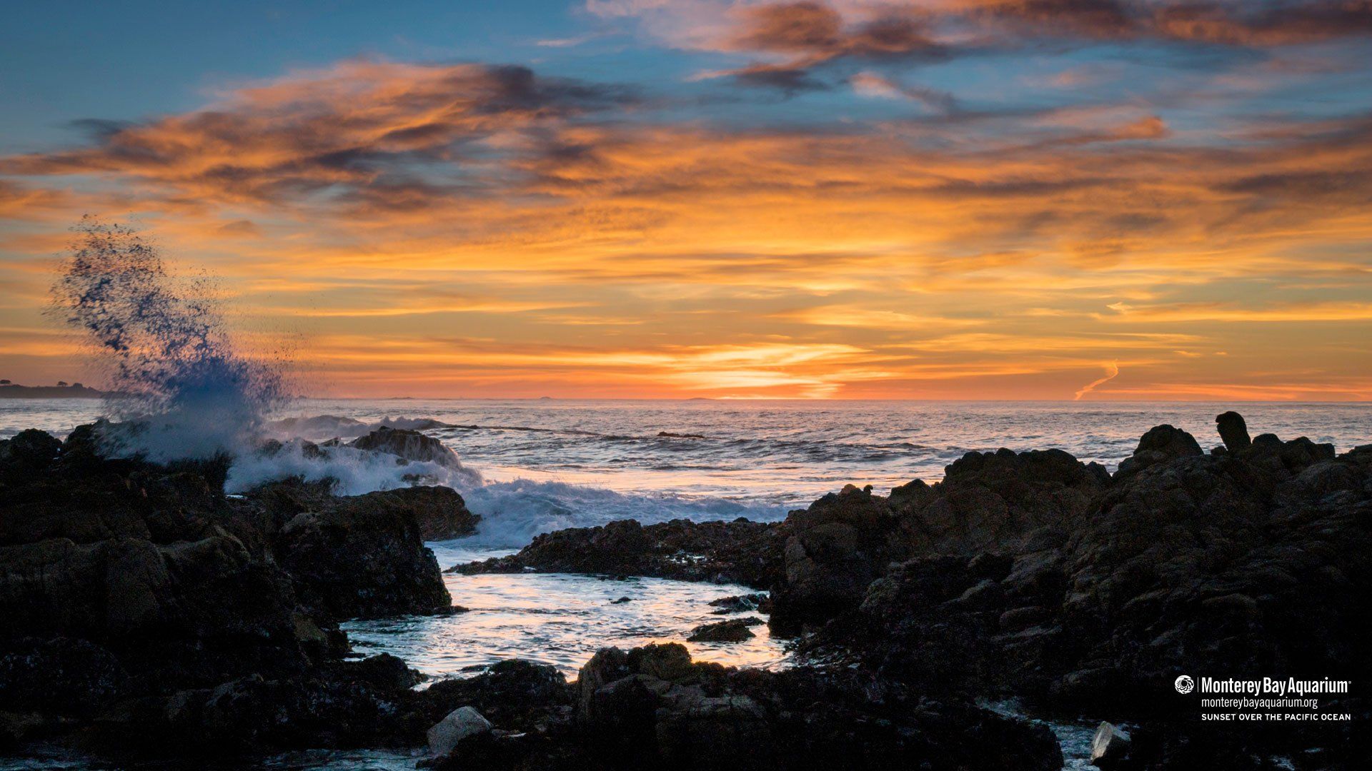 The Last Sunset Wallpapers Wallpaper Cave