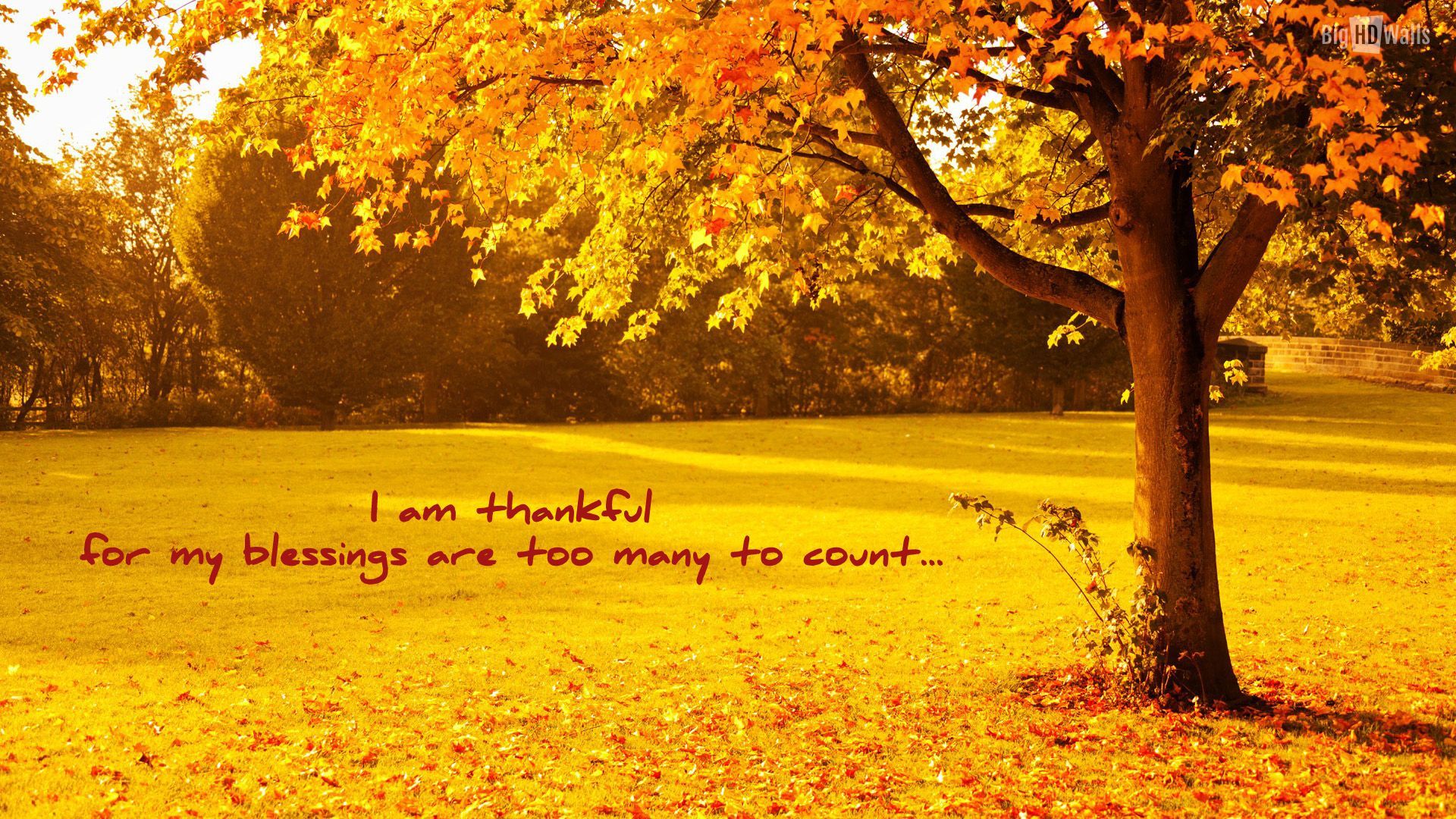 Thanksgiving Blessings Wallpaper Free Thanksgiving Blessings Background