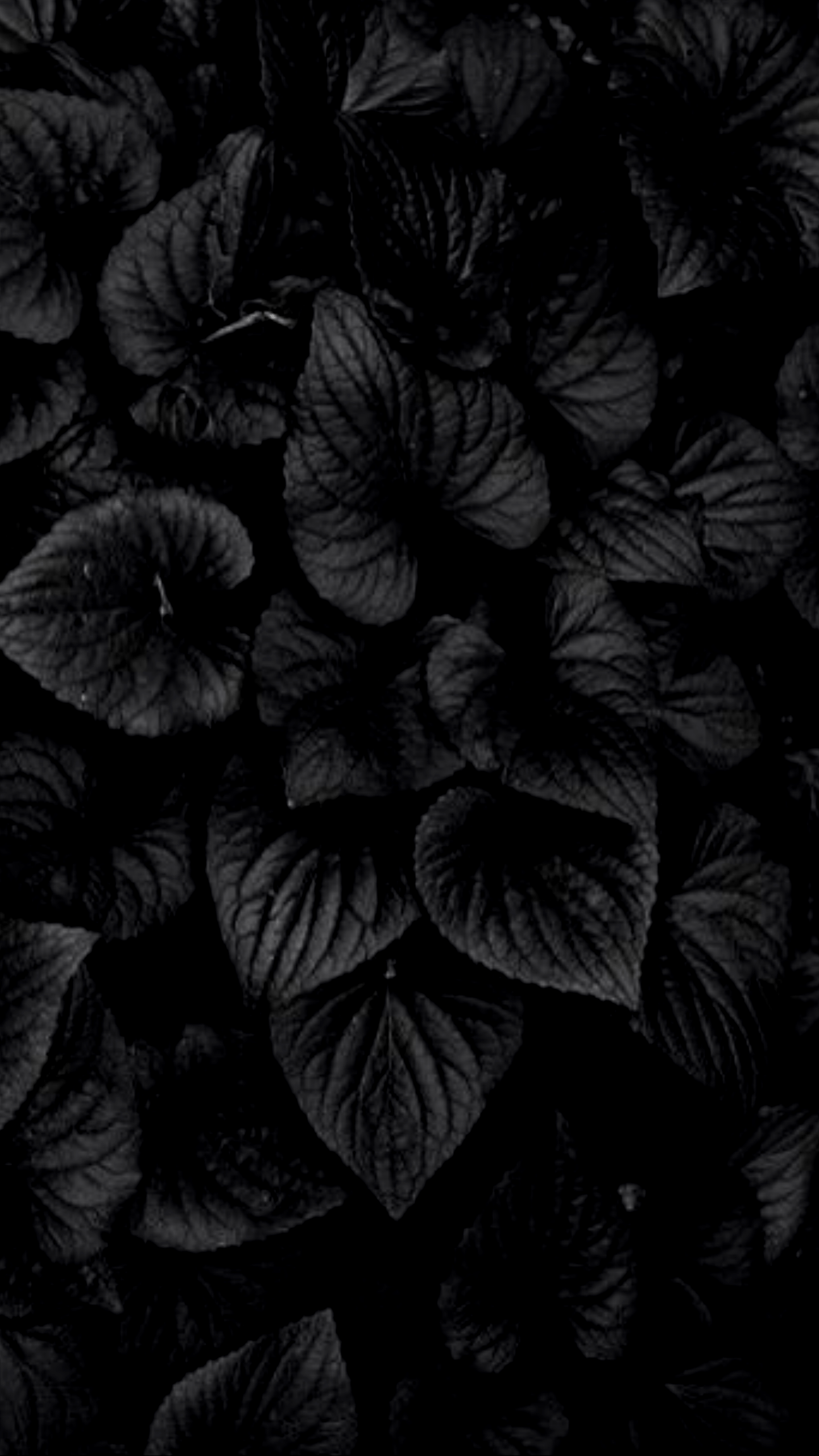 Leaves Amoled Wallpapers - Wallpaper Cave