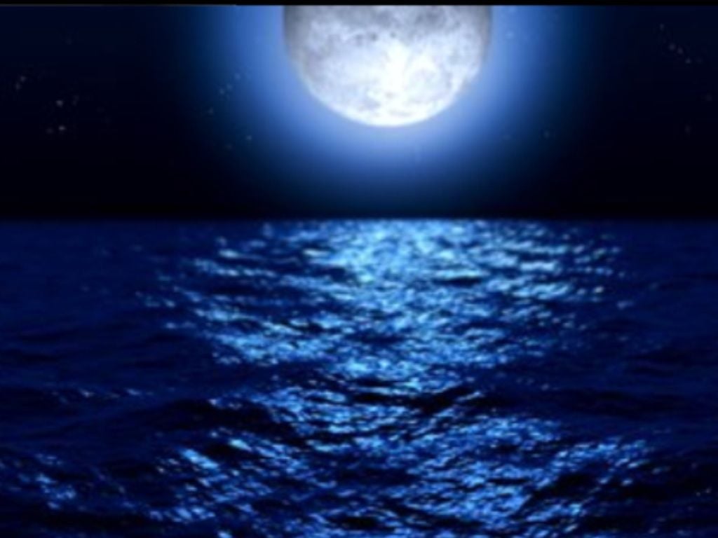 Blue Moon Mermaid Wallpapers - Wallpaper Cave