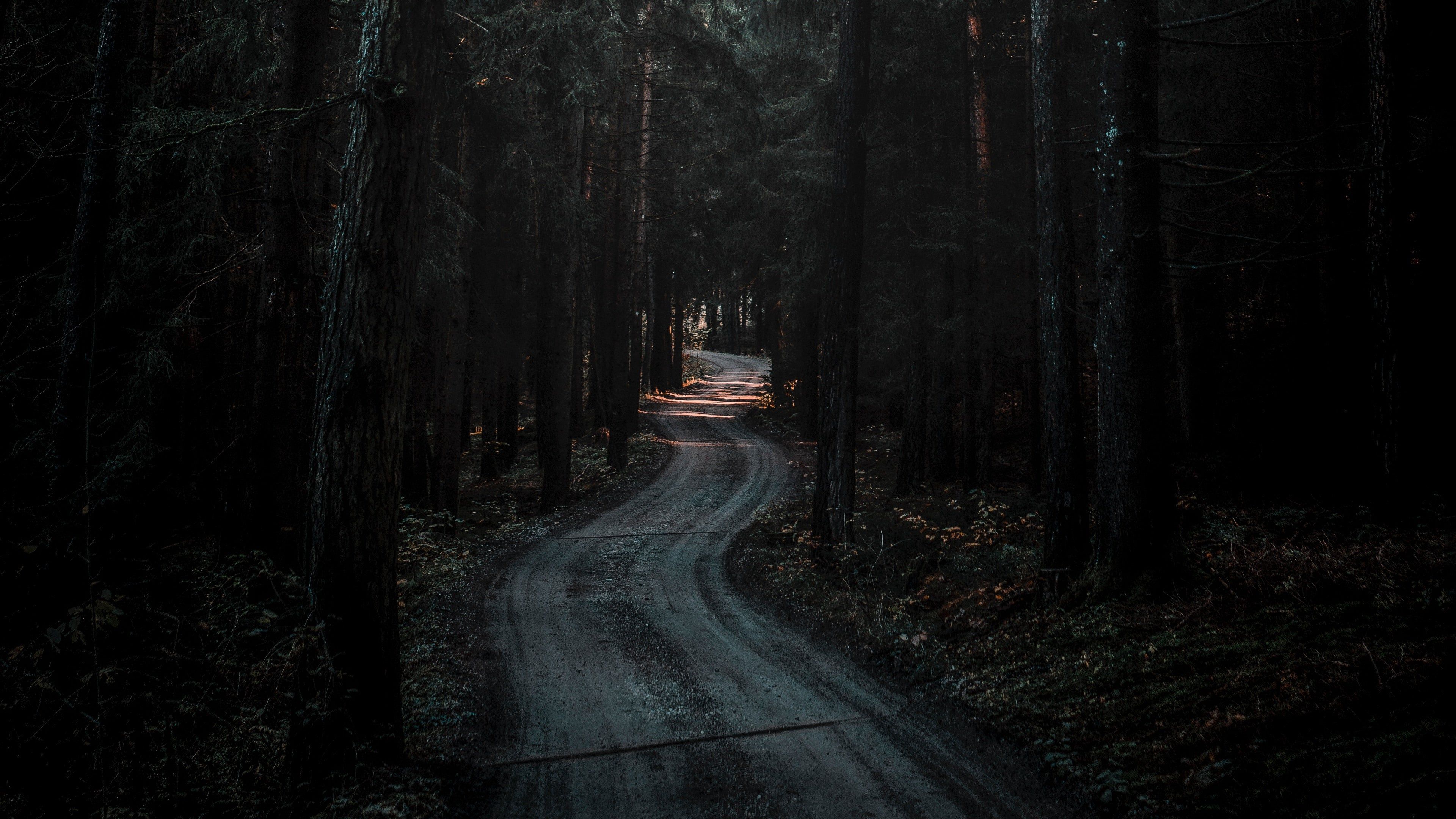 Forest Road Dark 4K wallpaper. Forest road, Dark wallpaper, Nature desktop