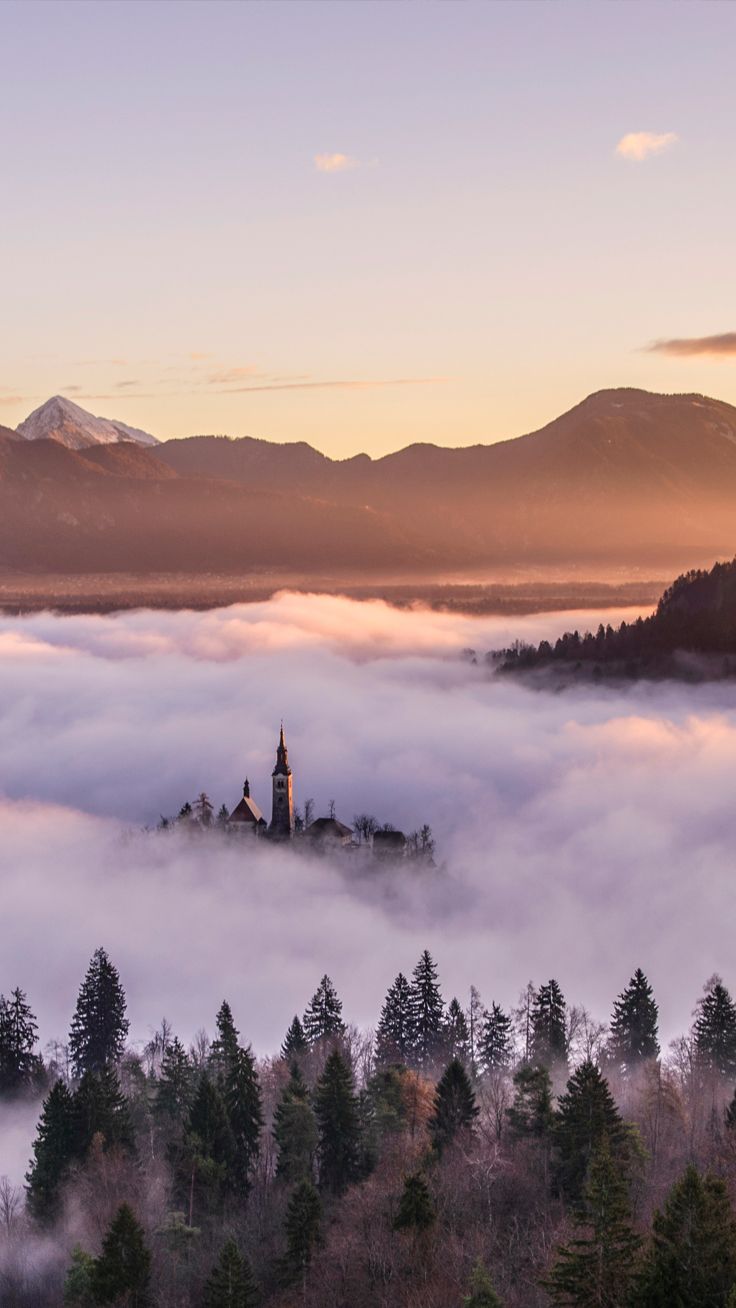 Back to Nature iPhone Wallpaper Collection