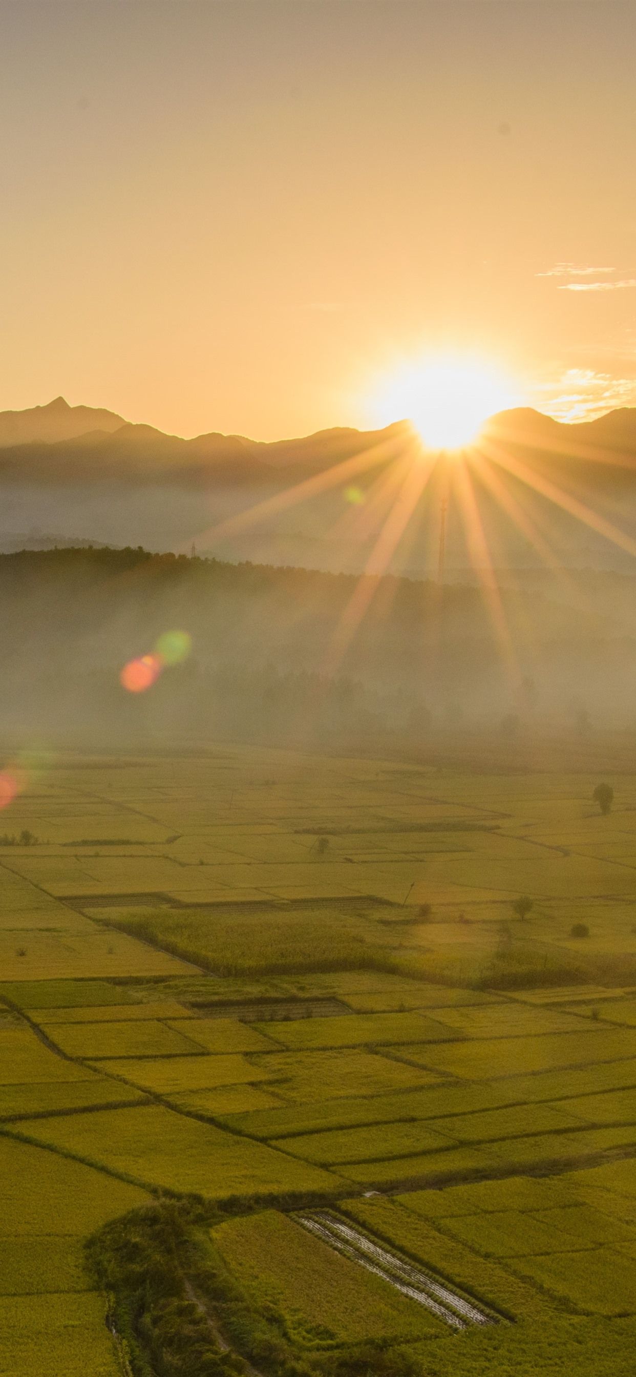 Beautiful golden fields, sun rays, fog, morning 1242x2688 iPhone