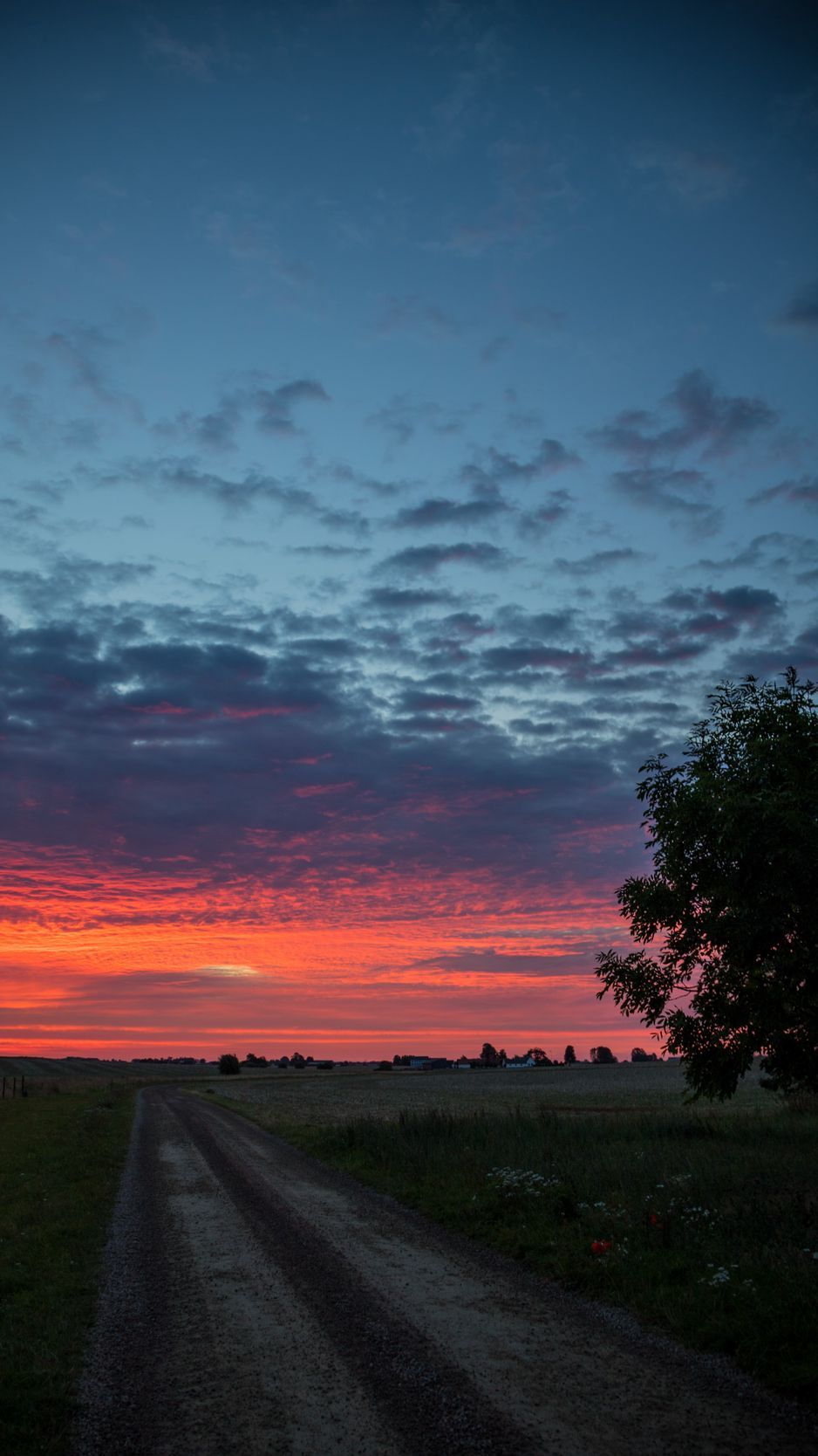 Download wallpaper 938x1668 dawn, sunrise, horizon, road, clouds