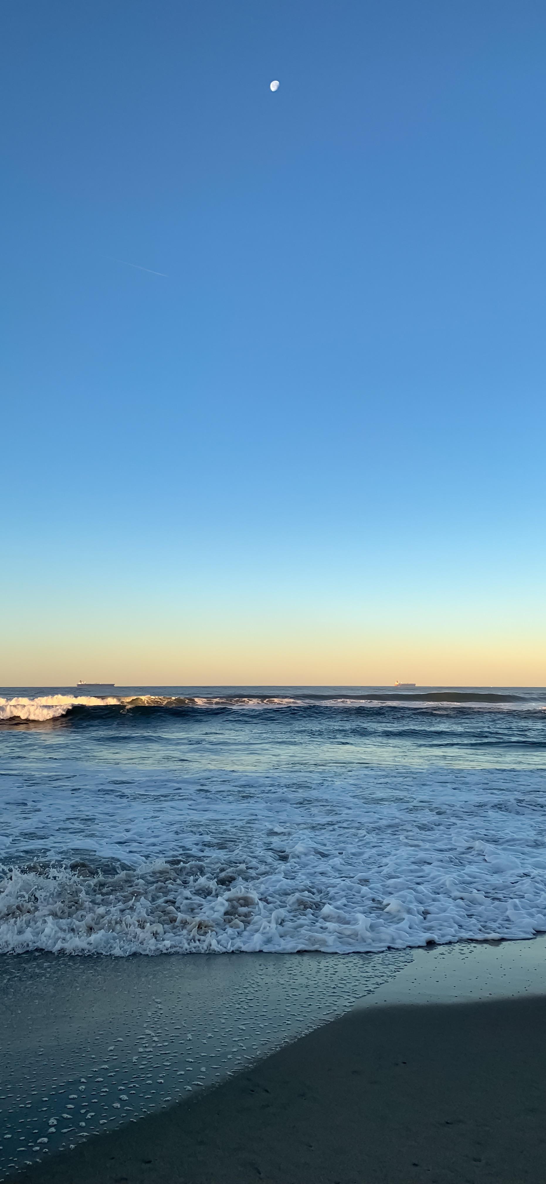 Took this earlier this morning in El Porto Manhattan Beach CA