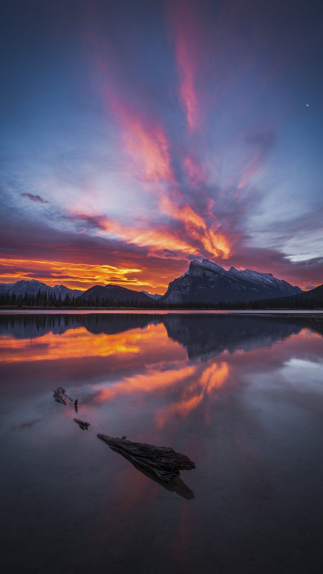 Flash Frozen Zizka Photography