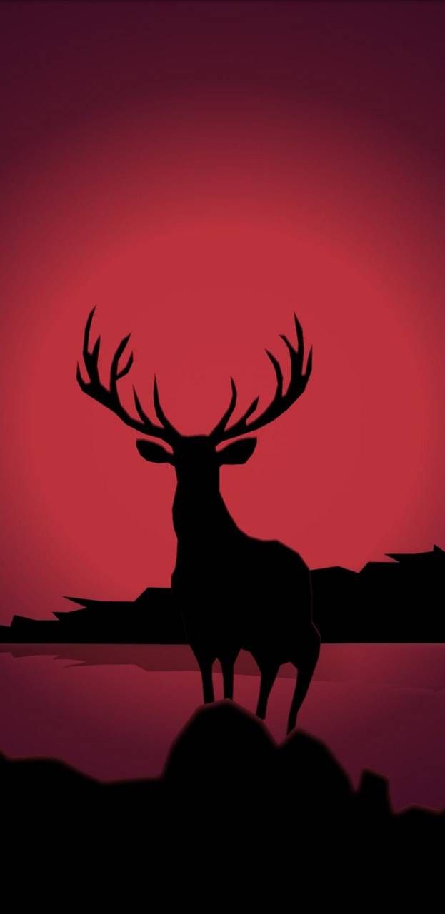 Red Deer wallpaper