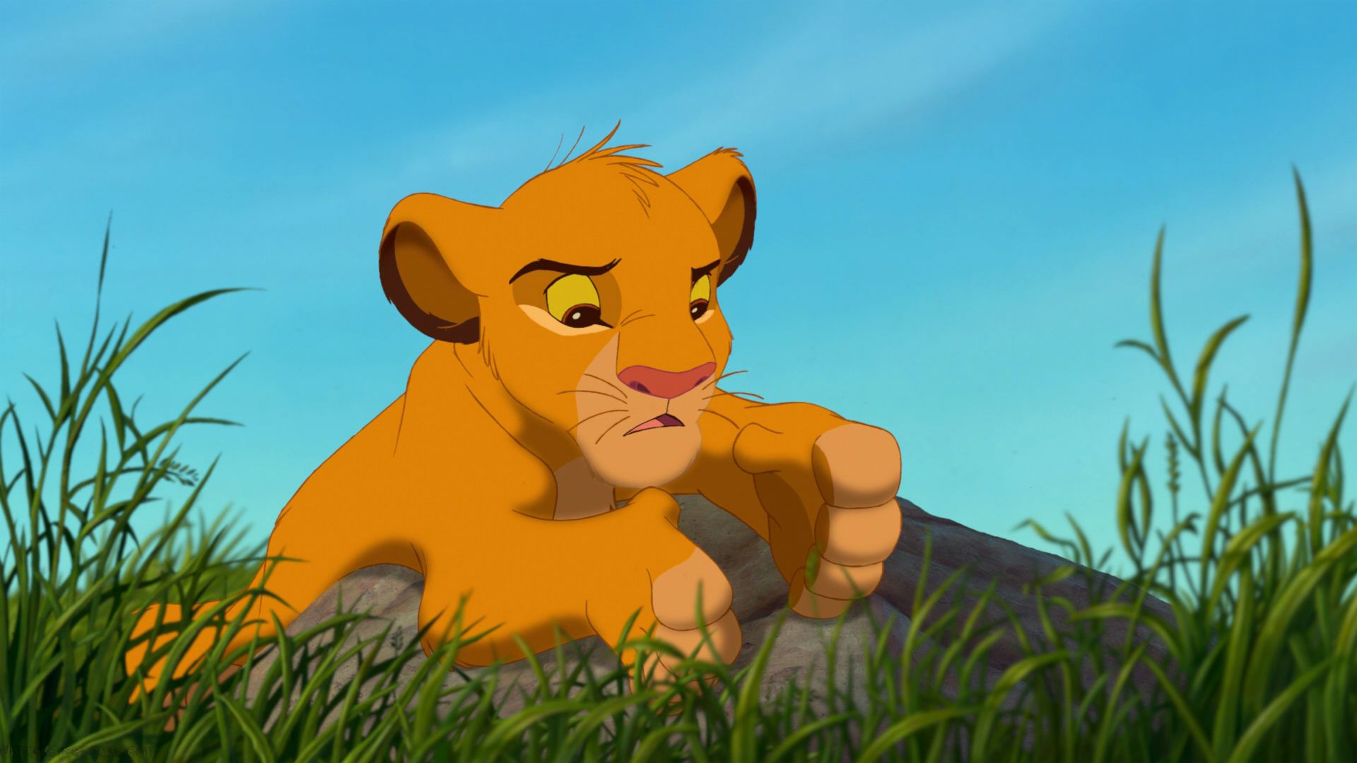 The Lion King Cartoon Adventures Of The Young Lion Simba Wallpaper HD 1920x1080, Wallpaper13.com