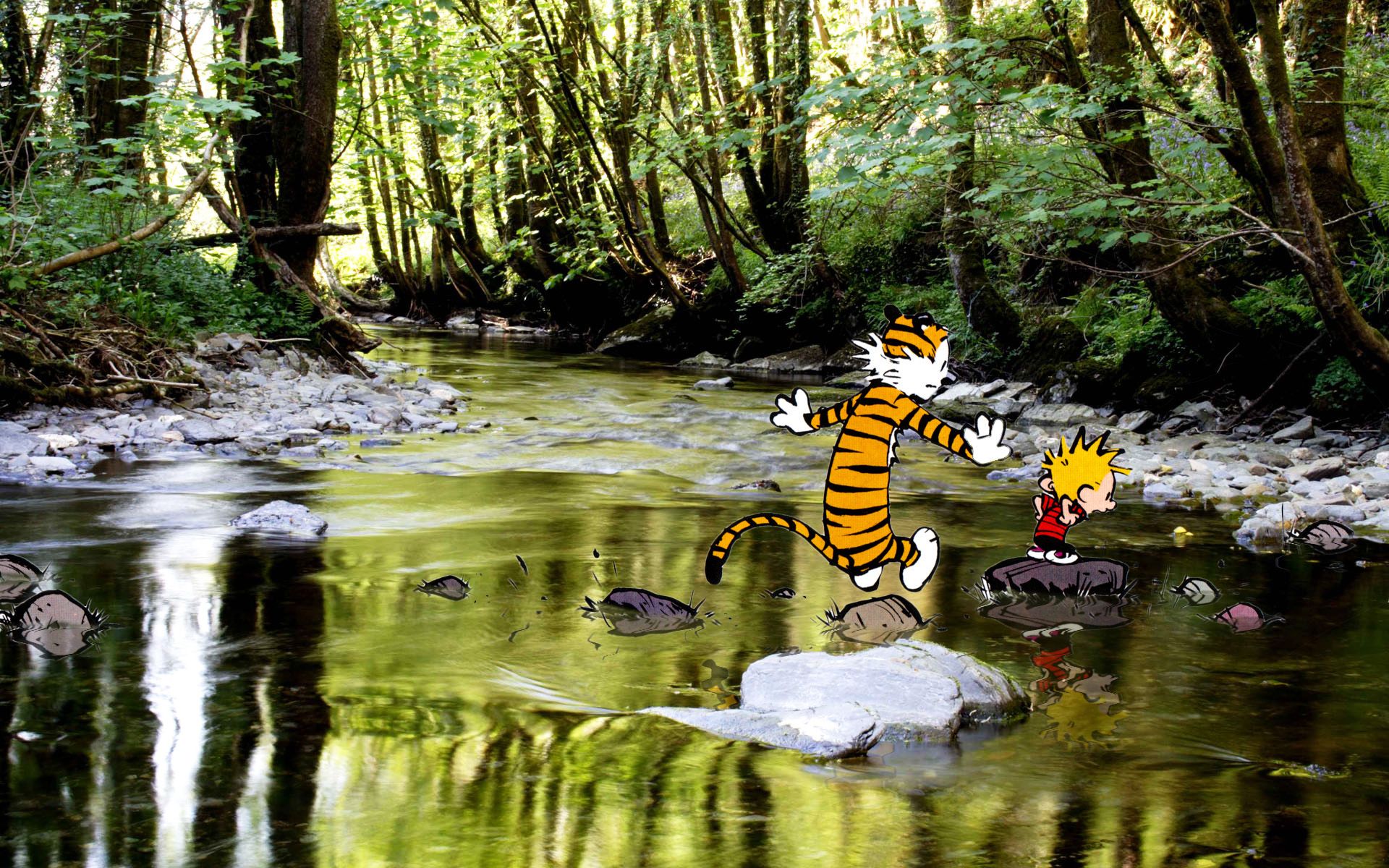 Calvin and Hobbes Background