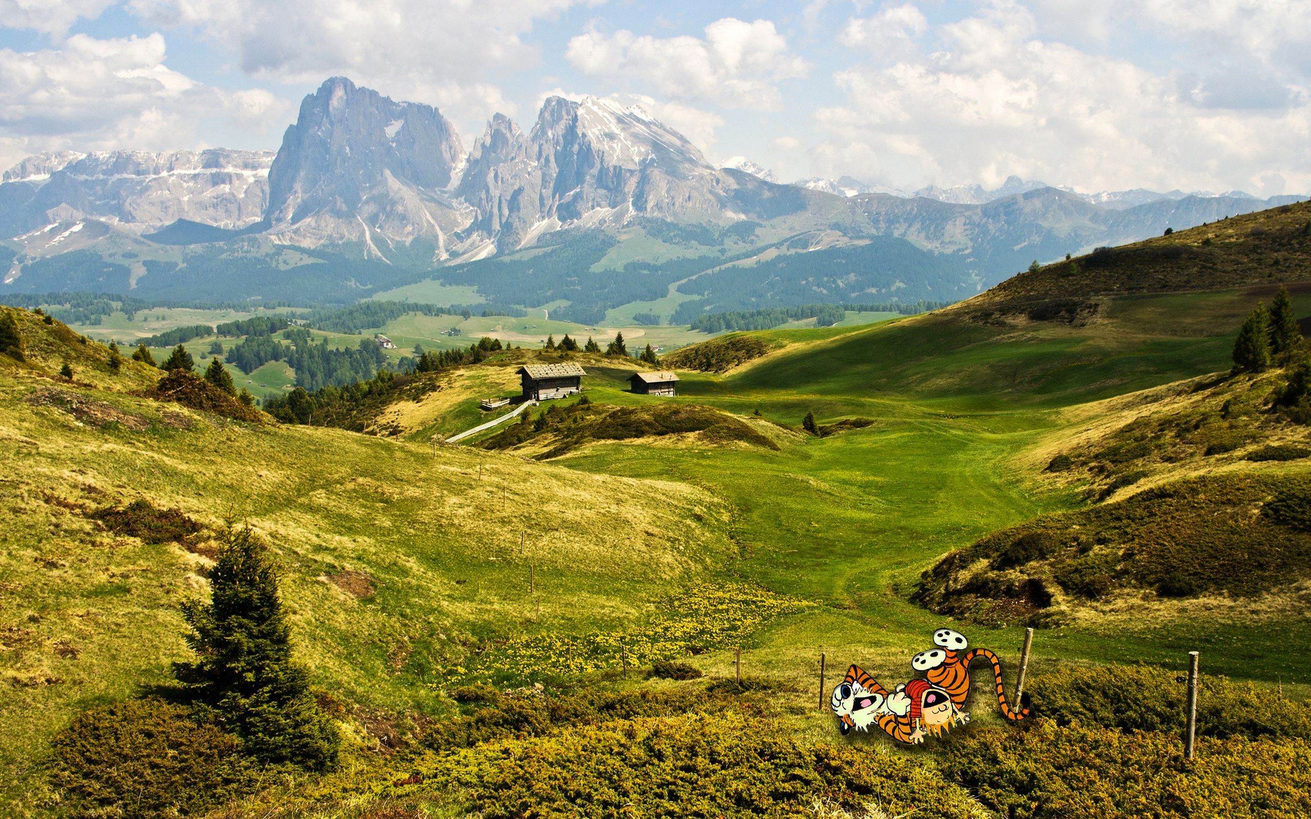 Summer time with Calvin and Hobbes. HD nature wallpaper