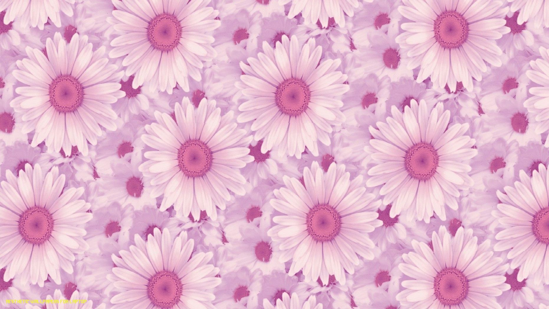 Pink Background Tumblr For Windows Laptop Wallpaper HD
