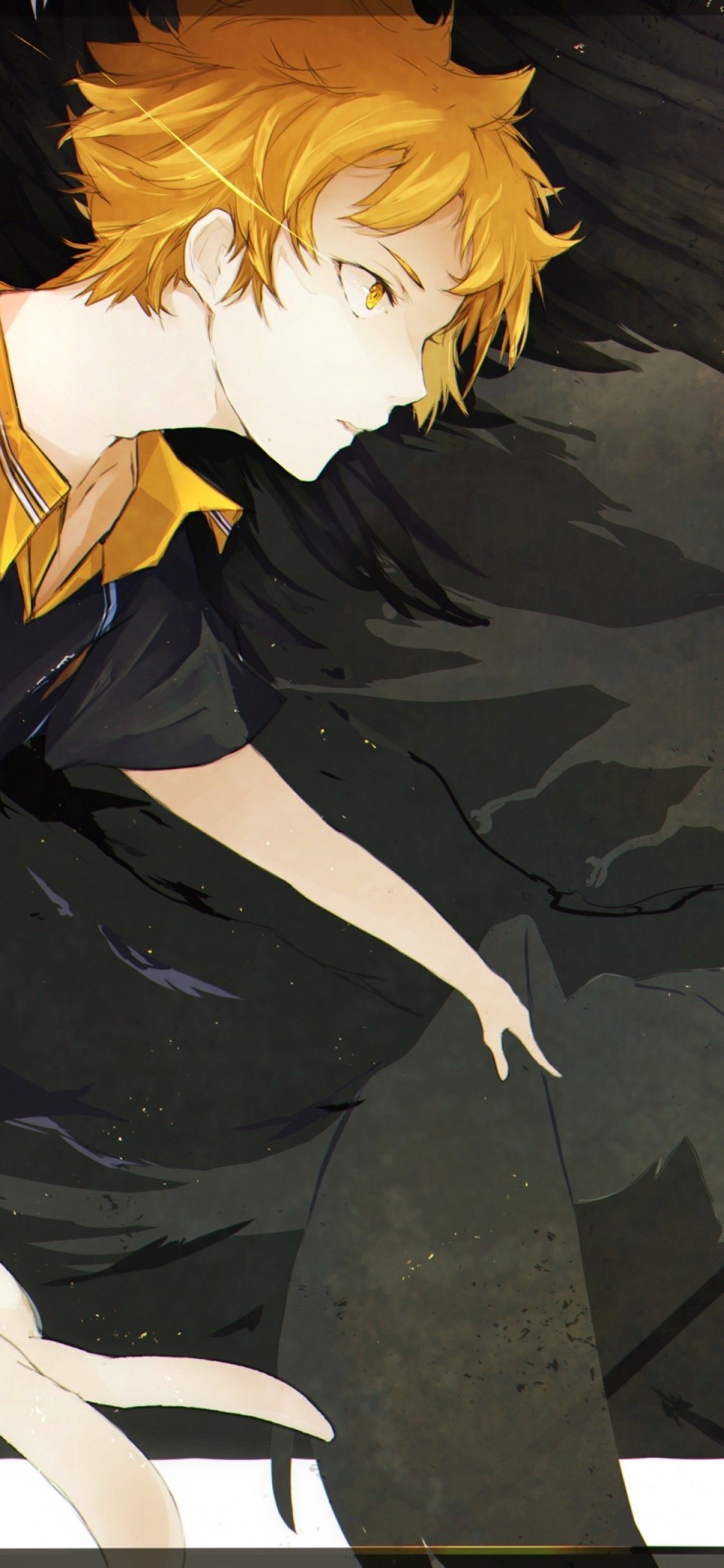 Download 1125x2436 Haikyuu, Hinata Shouyou, Dark Wings, Orange