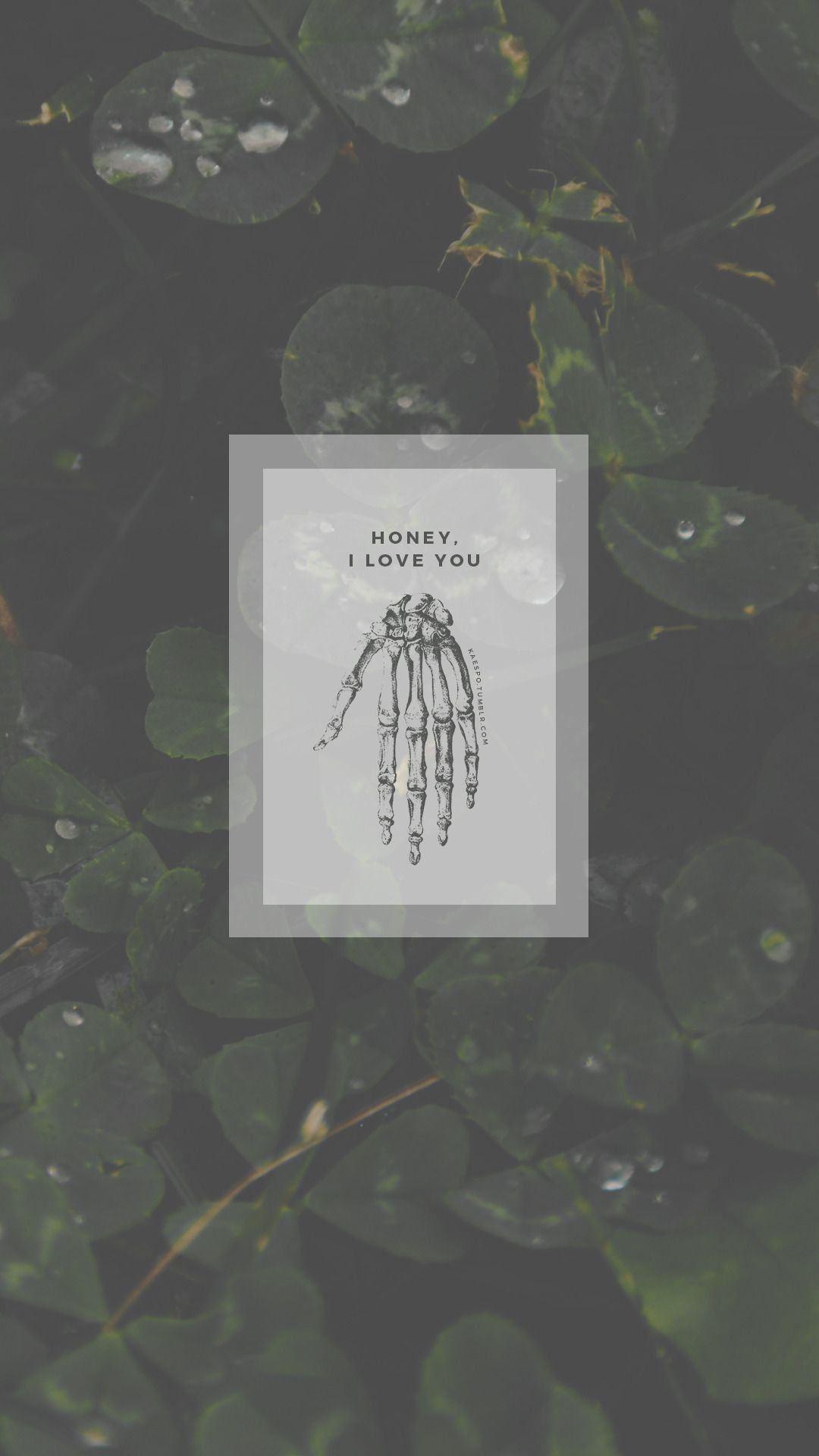 The Lumineers Wallpaper