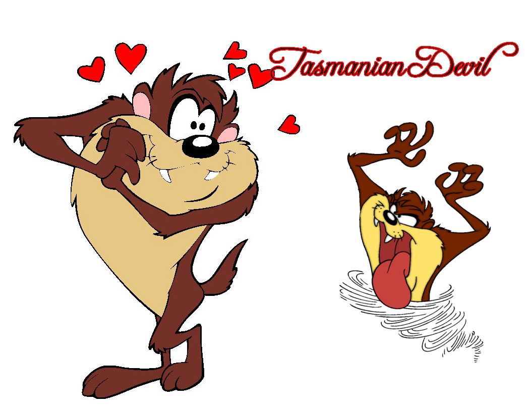 Free download Looney Tunes Tasmanian Devil Character Wallpaper