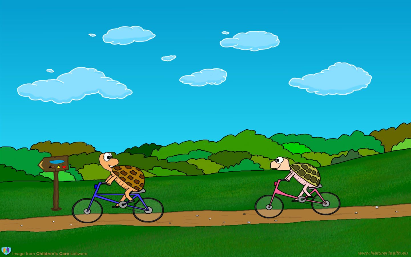 turtles on bikes Wallpaper and Background Imagex900