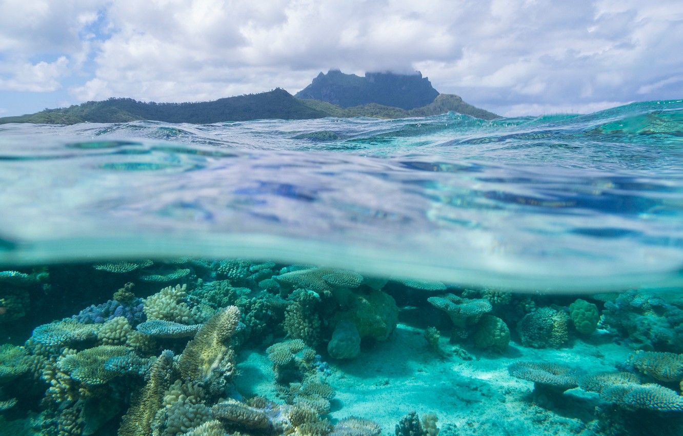 Wallpaper sea, corals, Bora Bora, The Pacific ocean, French