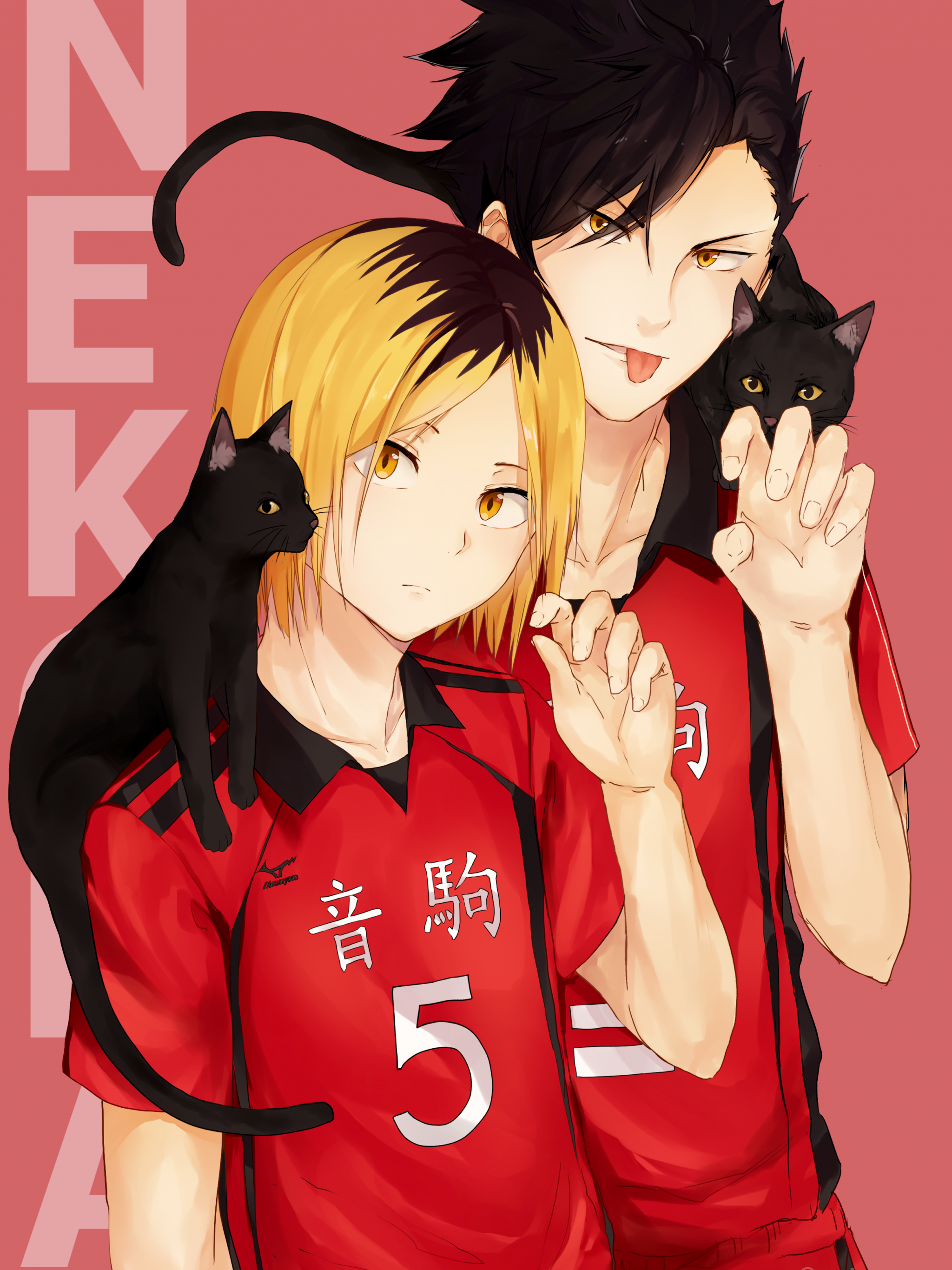 Free download Haikyuu Furudate Haruichi Mobile Wallpaper 2202277