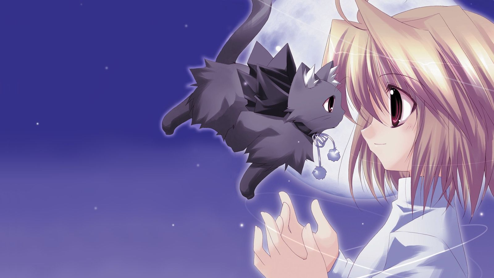 Kawai!!!  Cute anime cat, Kawaii wallpaper, Kawaii anime