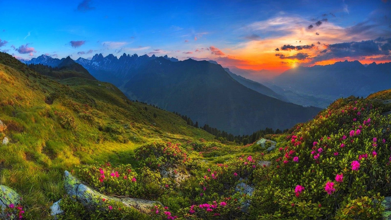 nature, Landscape, Tyrol, Sunrise, Mountain, Austria, Wildflowers