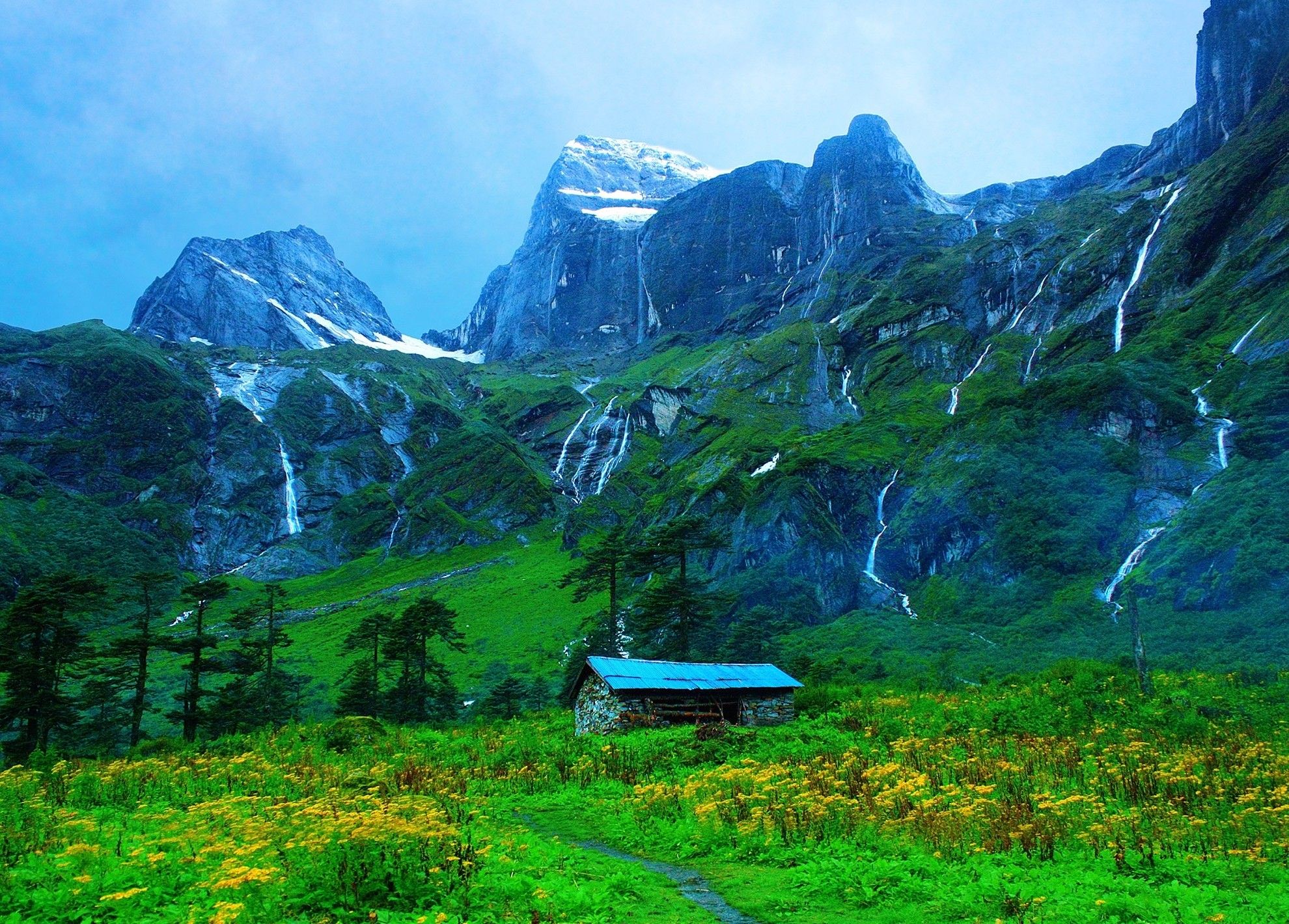 #snowy peak, #valley, #path, #landscape, #yellow, #trees