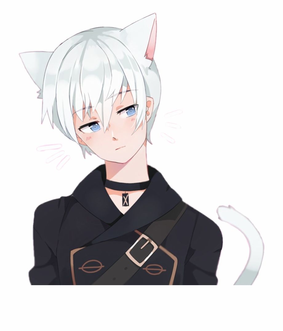 anime boy with white cat ears