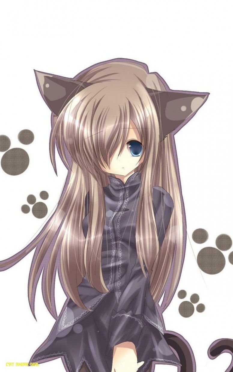 wallpaper boy anime  Anime guys, Anime drawings, Cute anime cat