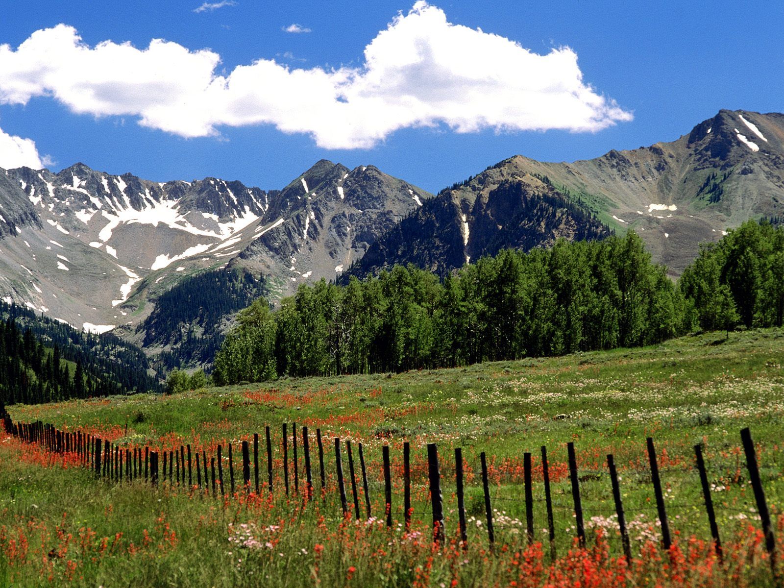 Free download Download Mountain Valleys wallpaper meadows under
