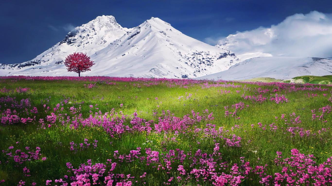 Full HD Amazing Landscape, Snow Nature Mountain Wallpaper