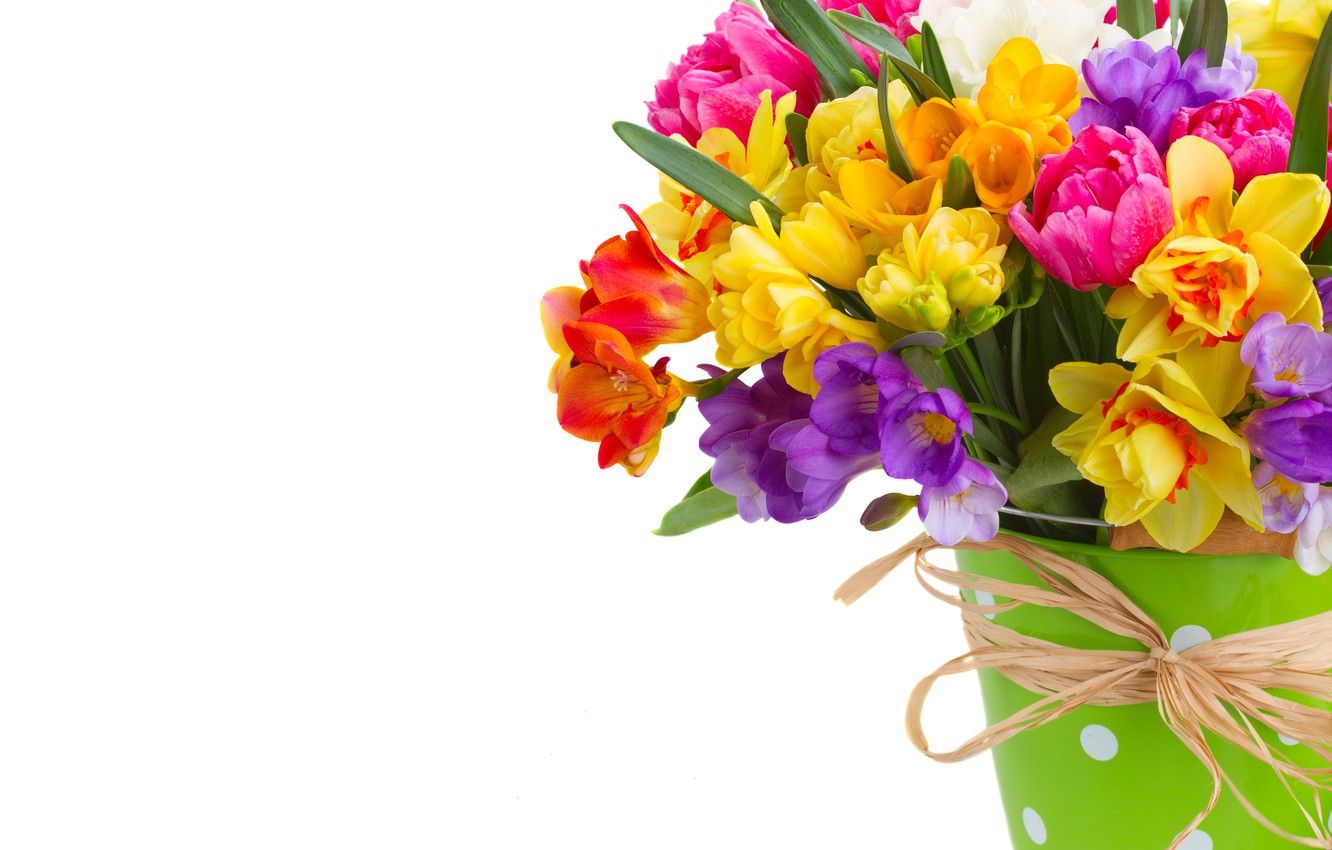 Wallpaper colorful, flowers, daffodils, spring, bouquet image